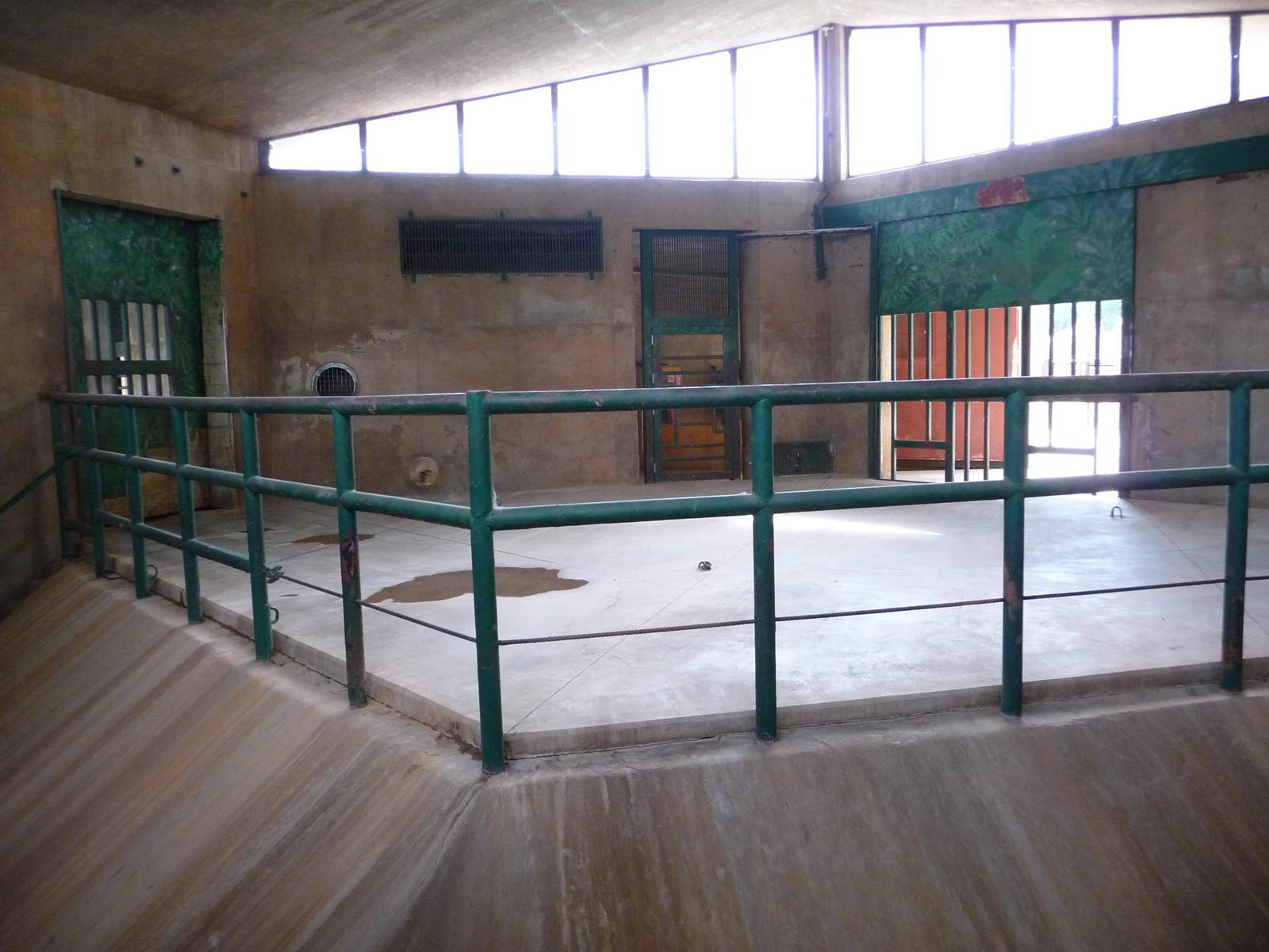 Oklahoma City Zoo - Indian Rhino Indoor Room