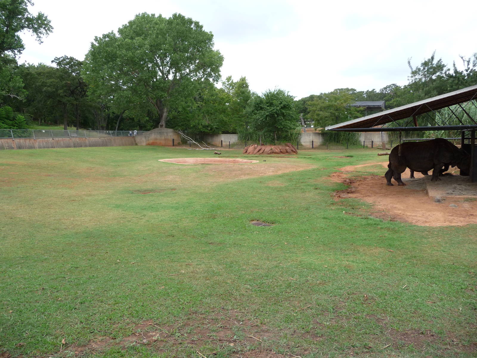 Oklahoma City Zoo - Indian Rhino Paddock