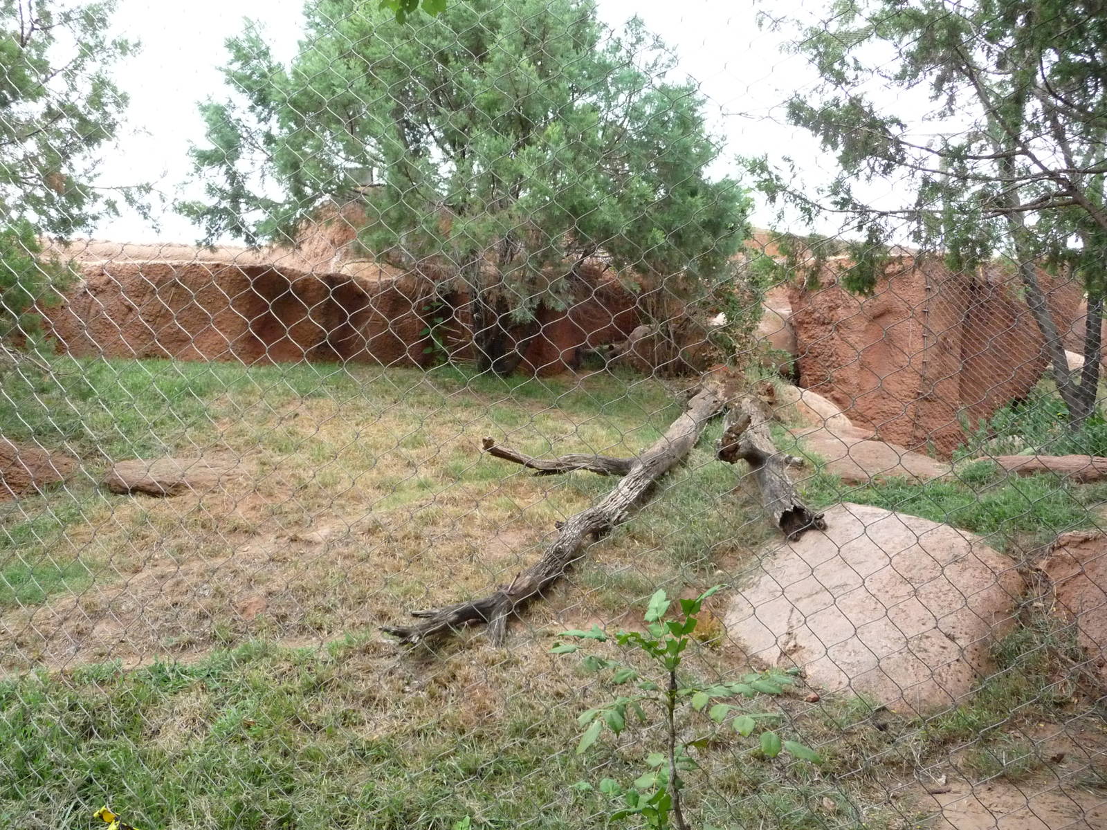 Oklahoma City Zoo - Jaguar Exhibit