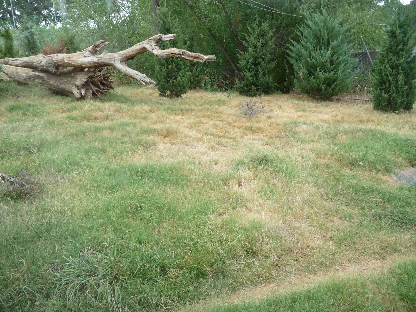 Oklahoma City Zoo - Oklahoma Trails