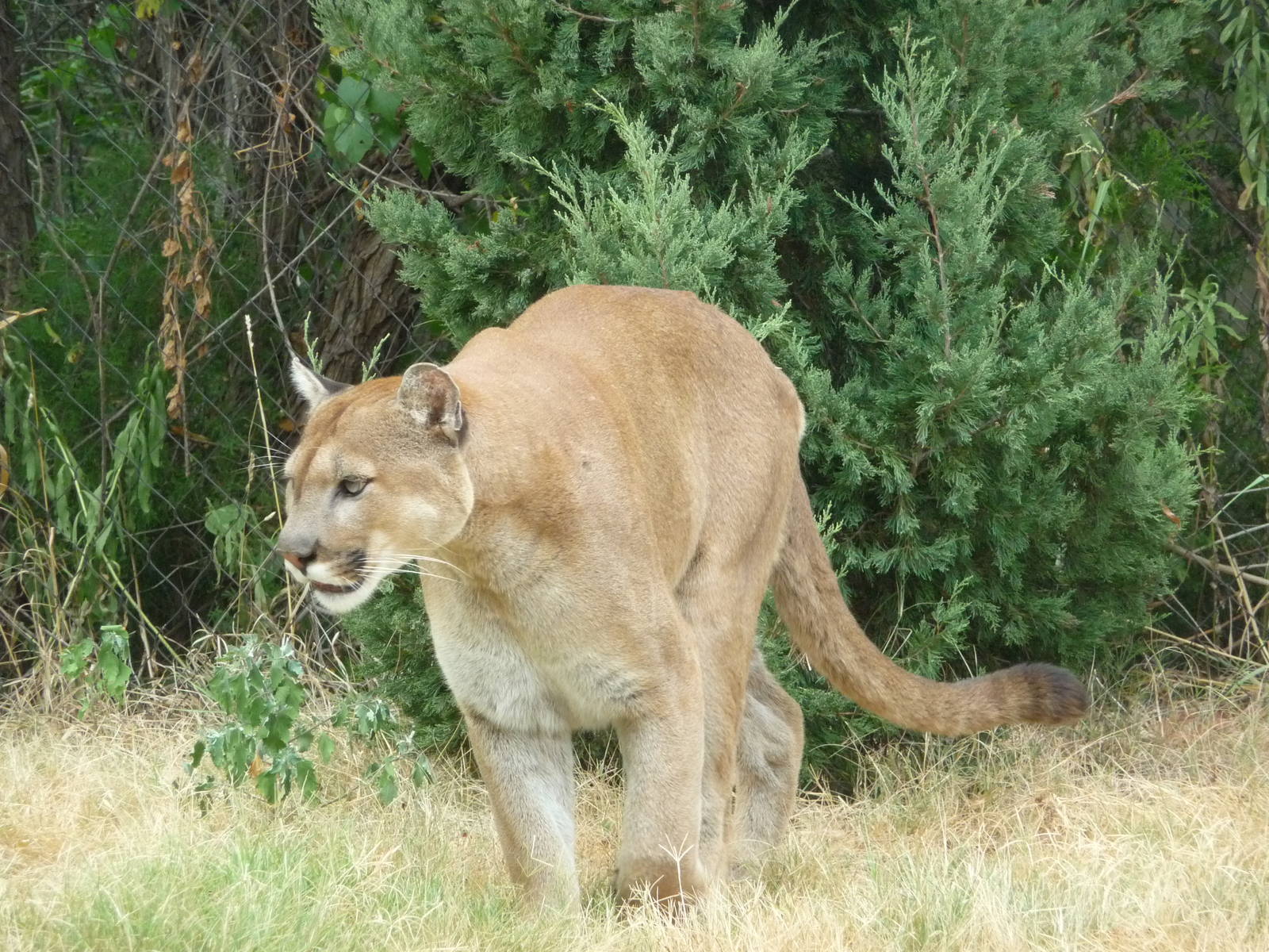 Oklahoma City Zoo - Oklahoma Trails