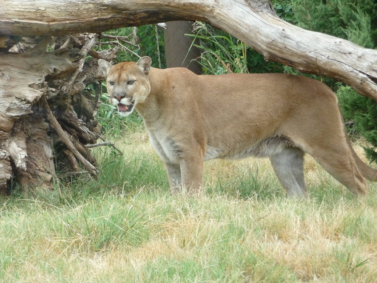 Oklahoma City Zoo - Oklahoma Trails