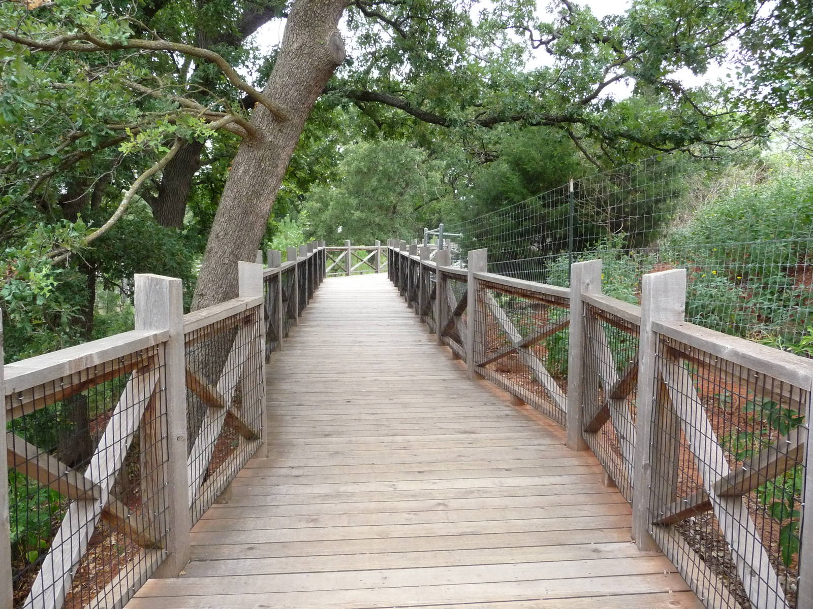 Oklahoma City Zoo - Oklahoma Trails