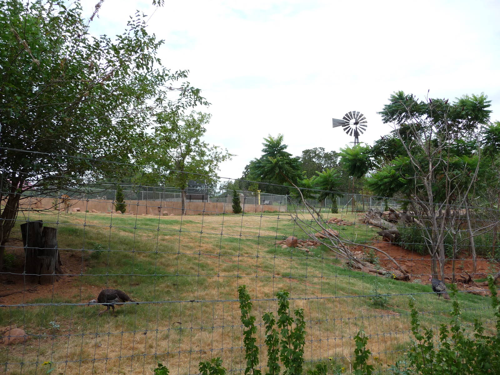 Oklahoma City Zoo - Oklahoma Trails