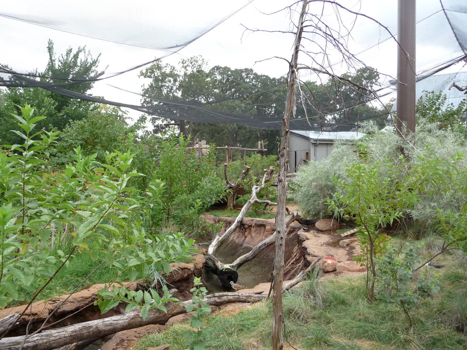 Oklahoma City Zoo - Oklahoma Trails