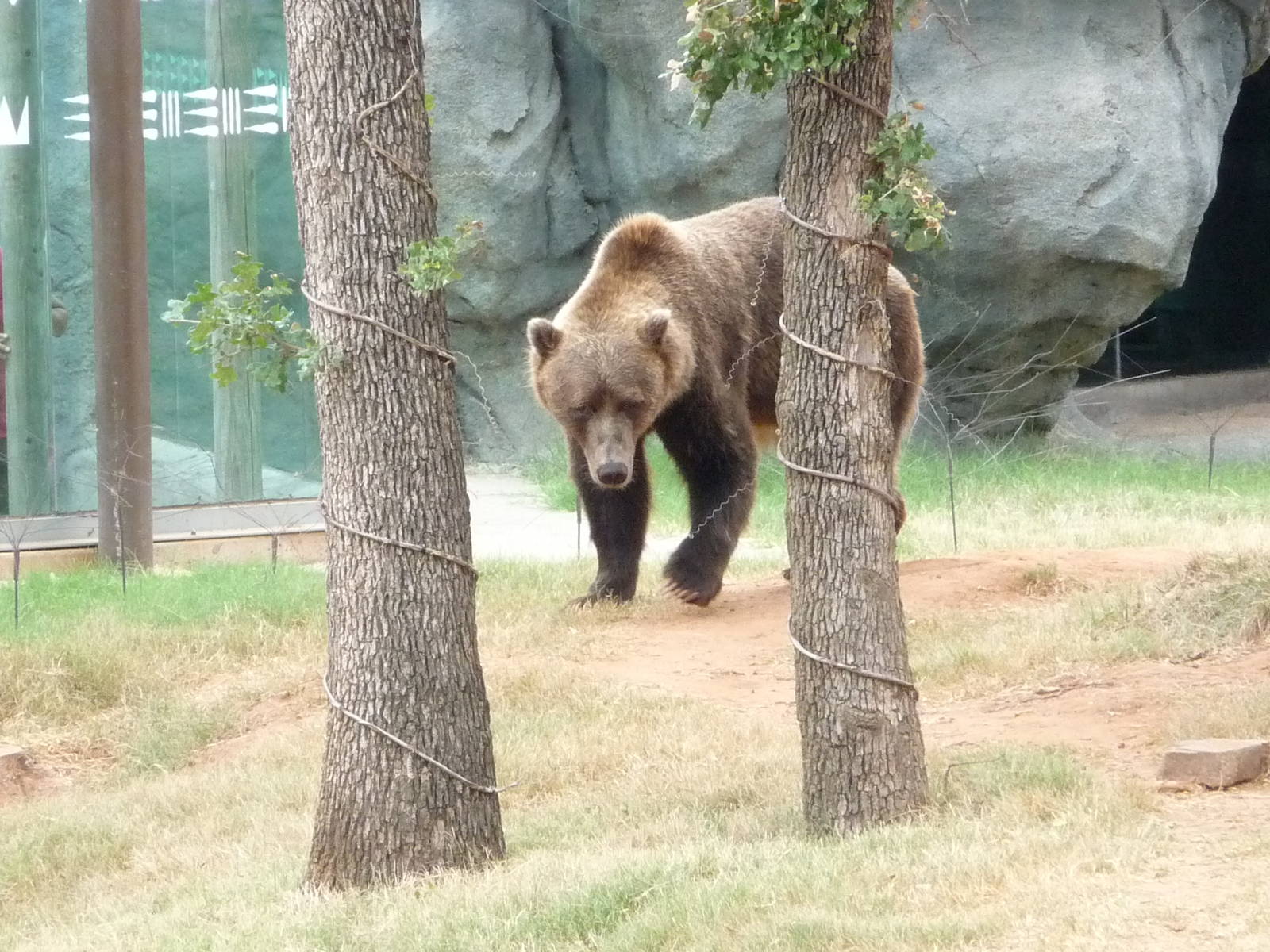 Oklahoma City Zoo - Oklahoma Trails