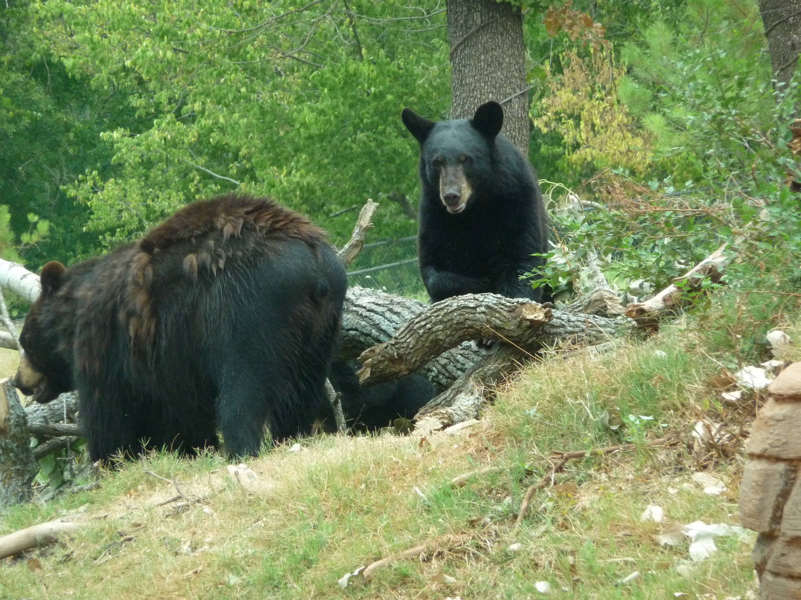 Oklahoma City Zoo - Oklahoma Trails