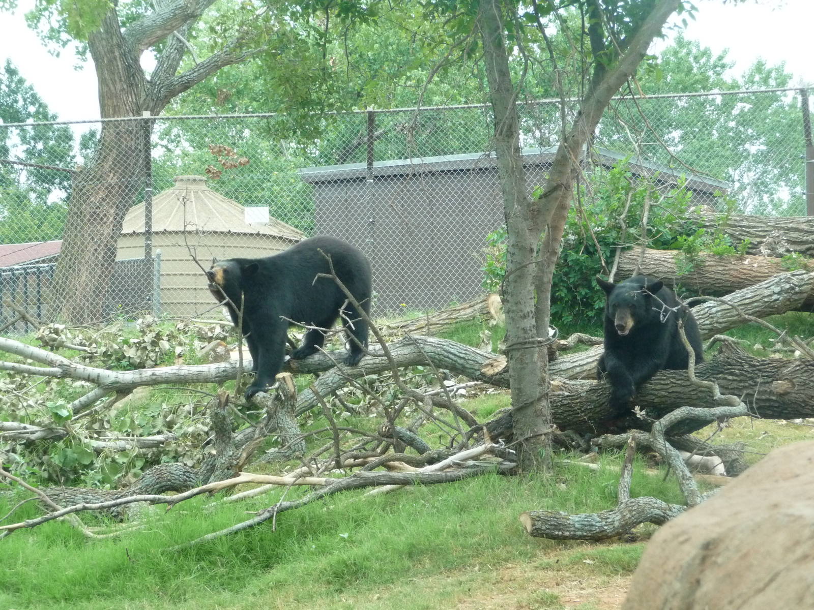 Oklahoma City Zoo - Oklahoma Trails