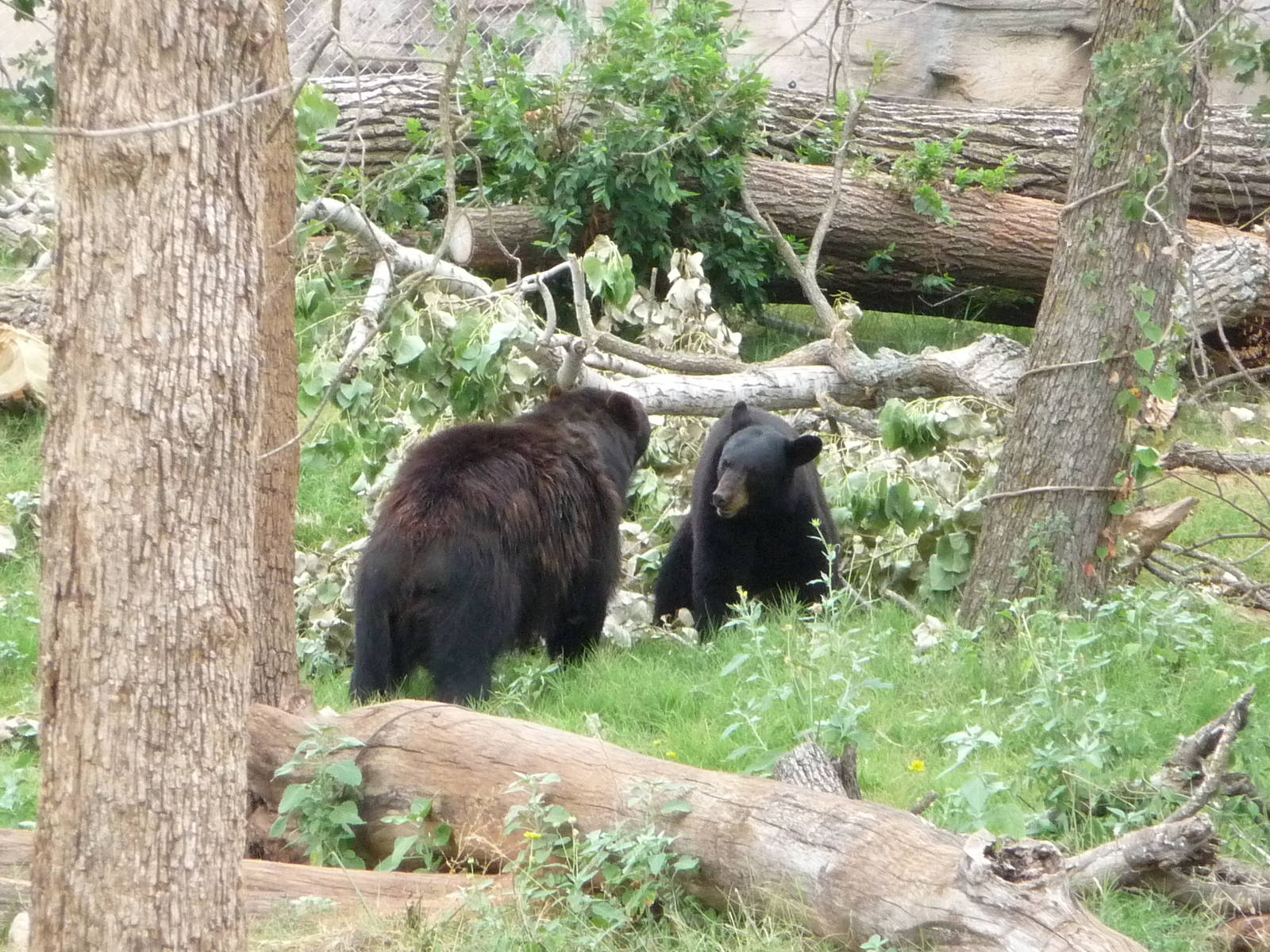 Oklahoma City Zoo - Oklahoma Trails