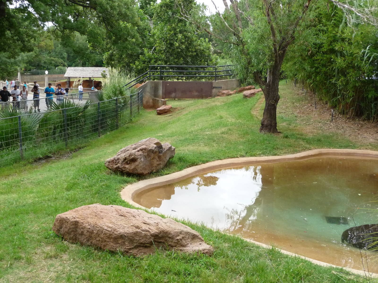 Oklahoma City Zoo - Pygmy Hippo Exhibit