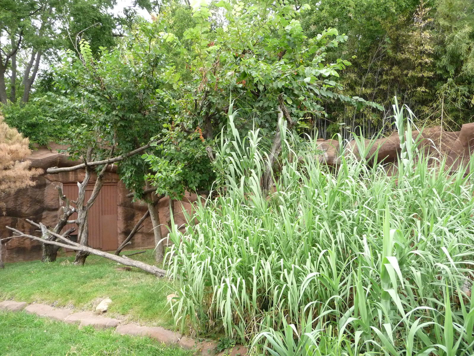 Oklahoma City Zoo - Red Panda Exhibit