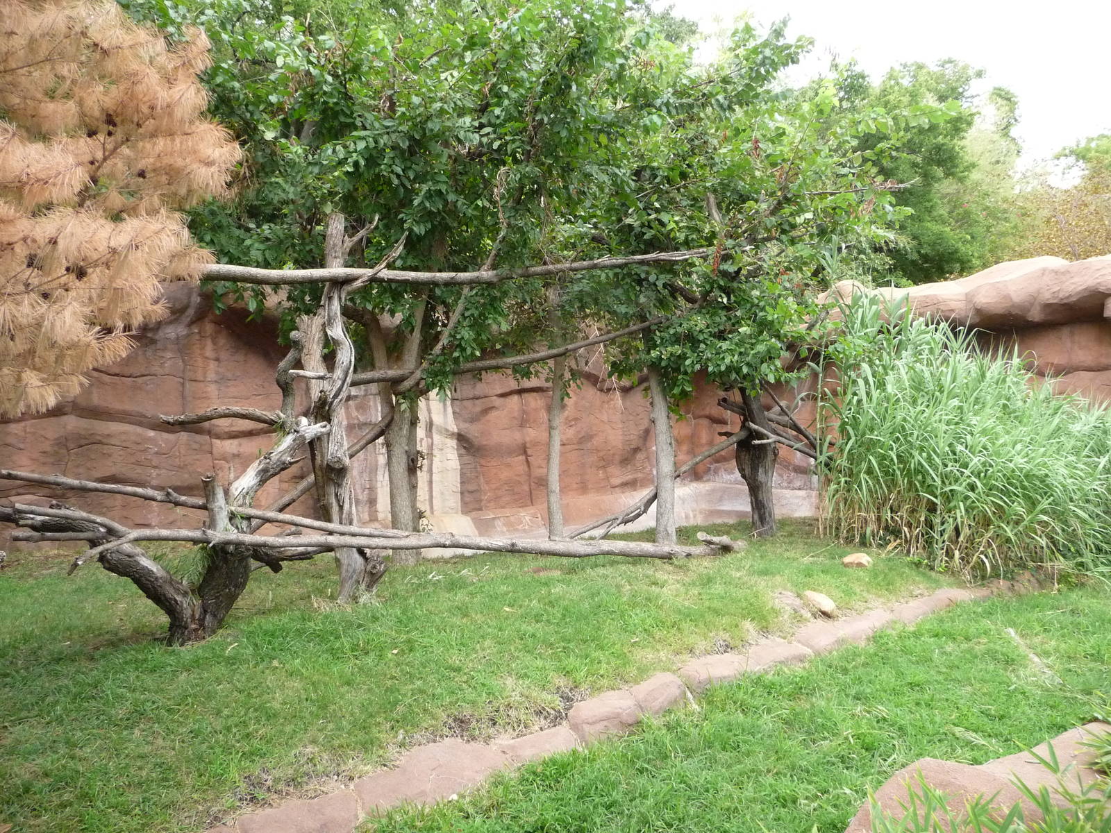 Oklahoma City Zoo - Red Panda Exhibit