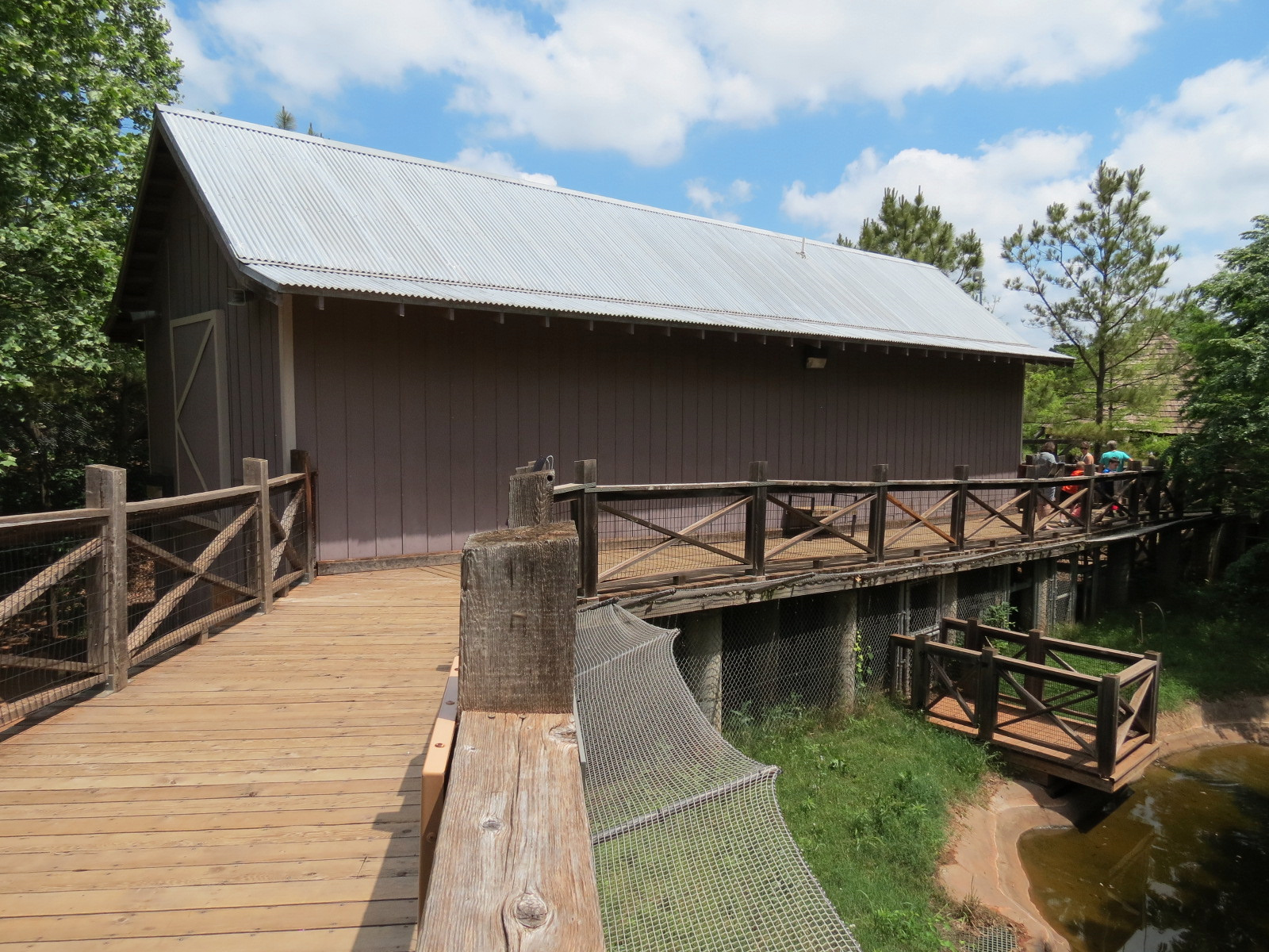 Oklahoma Trails - American Alligator Exhibit Viewing Path