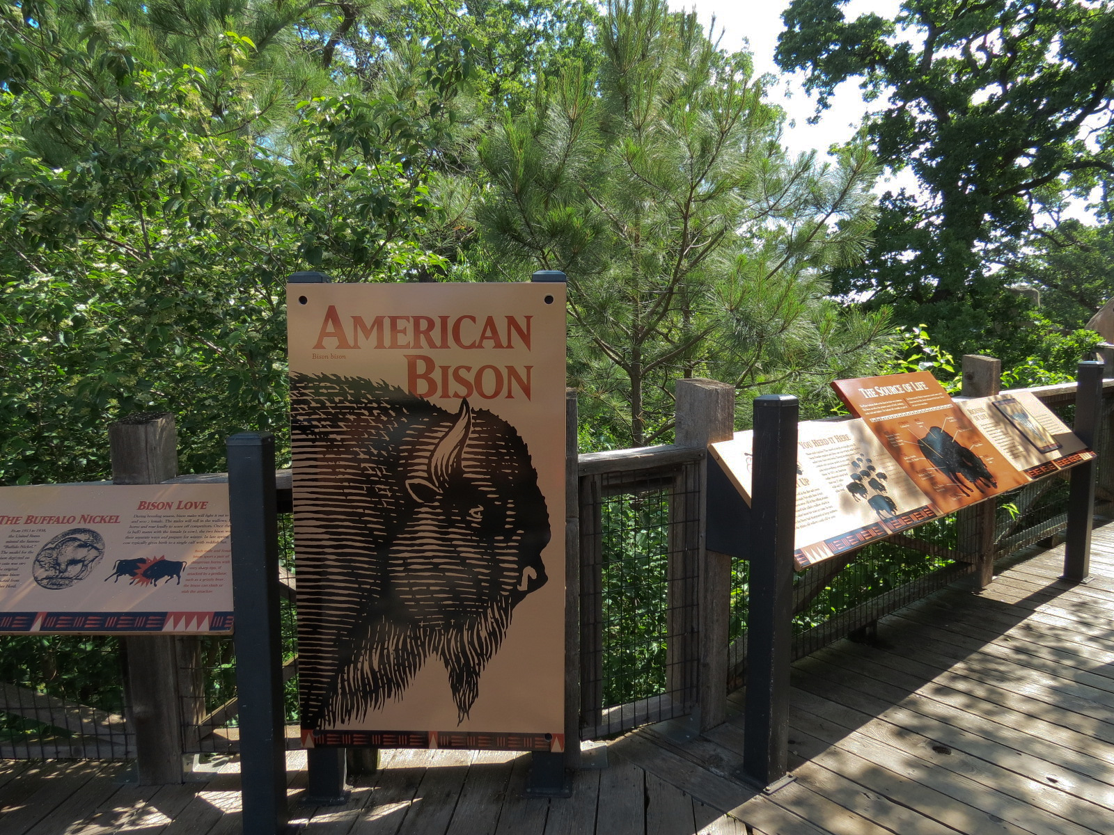 Oklahoma Trails - American Bison Exhibit Sign