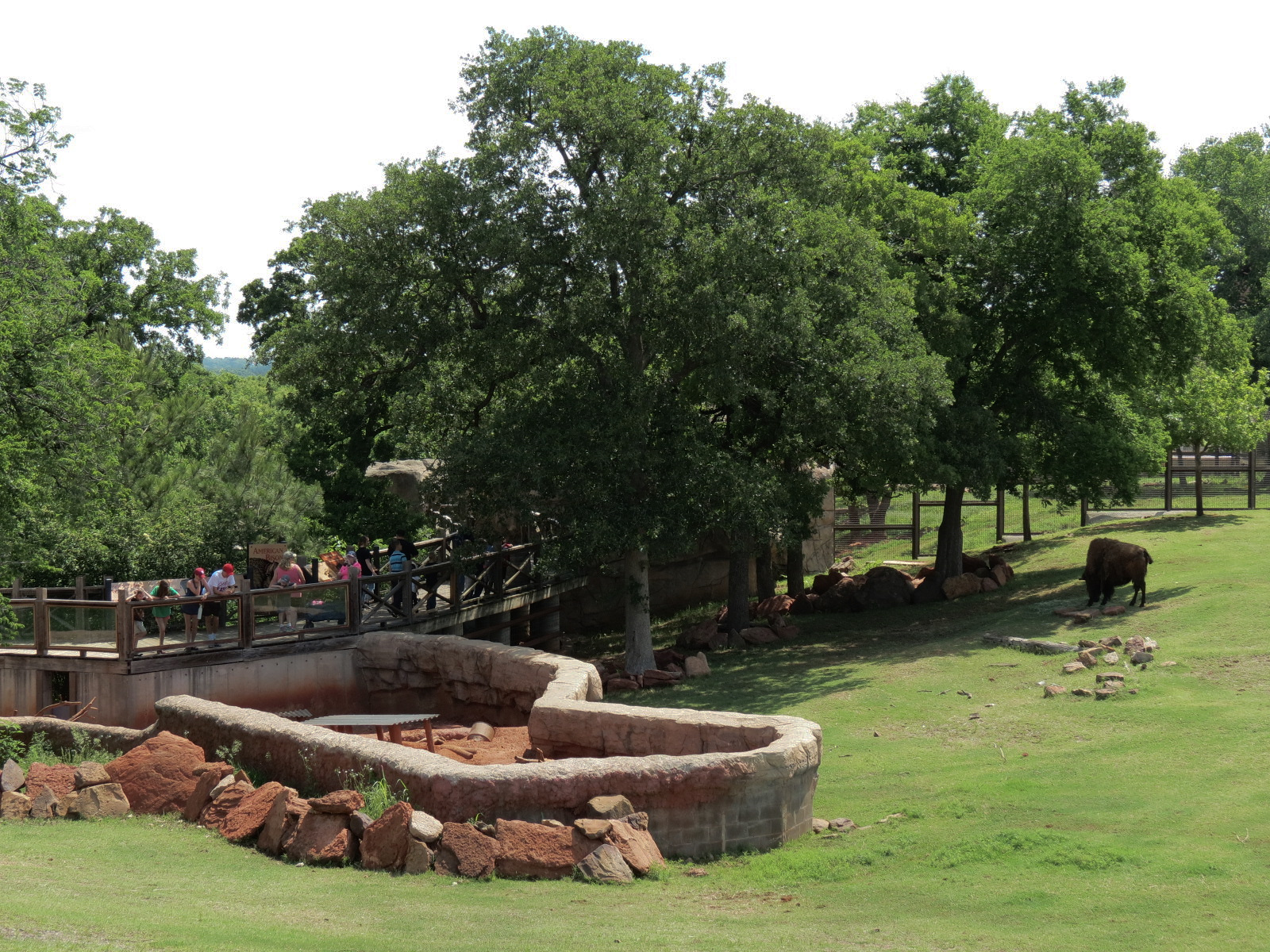 Oklahoma Trails - American Bison Exhibit