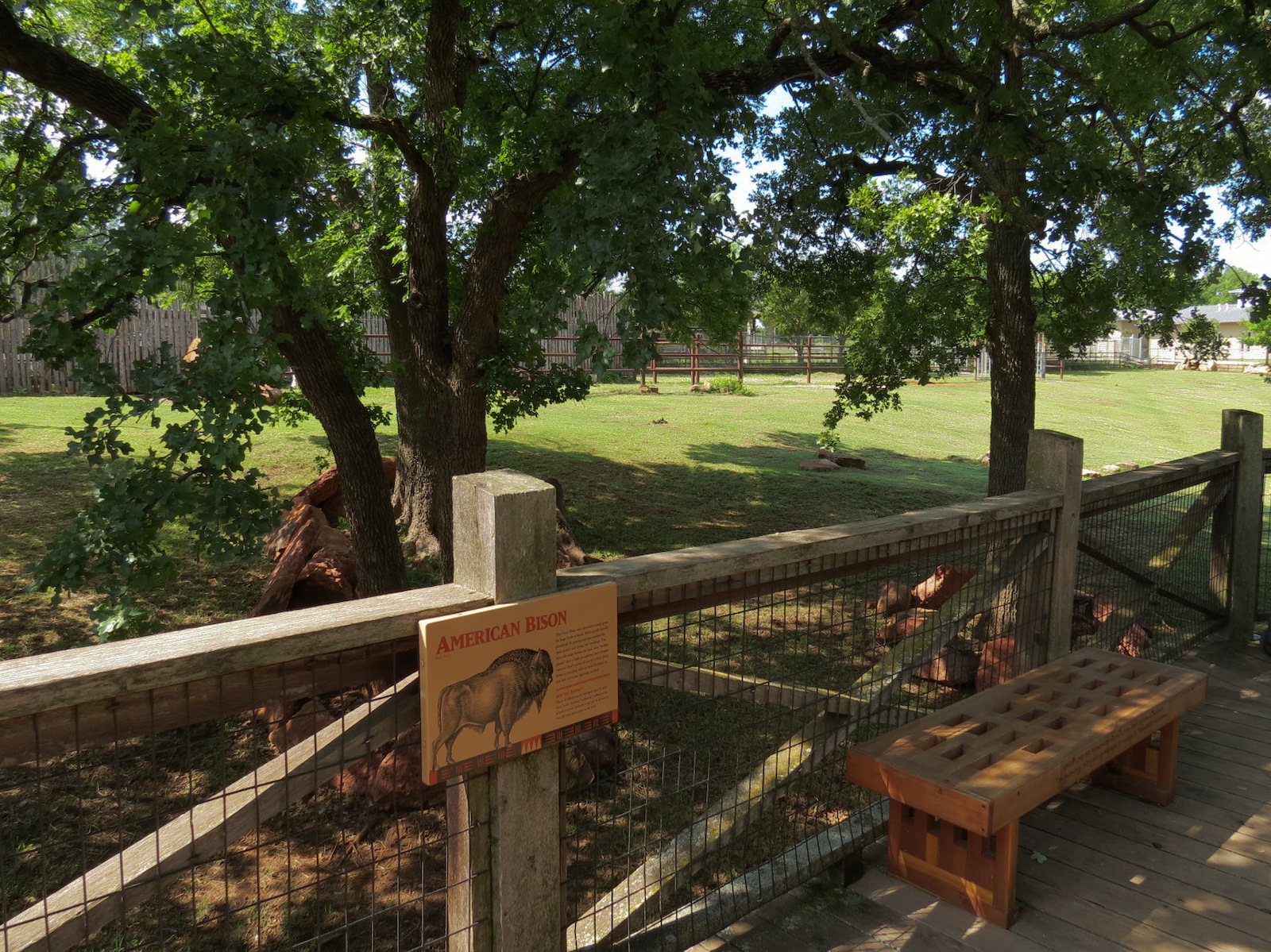 Oklahoma Trails - American Bison Exhibit
