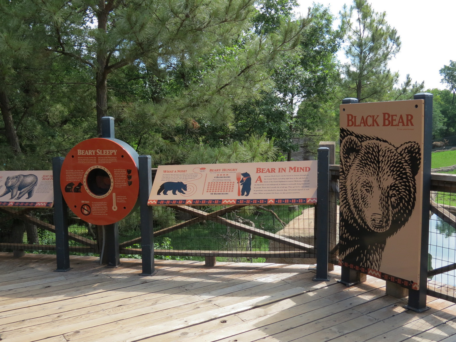 Oklahoma Trails - American Black Bear Exhibit Sign