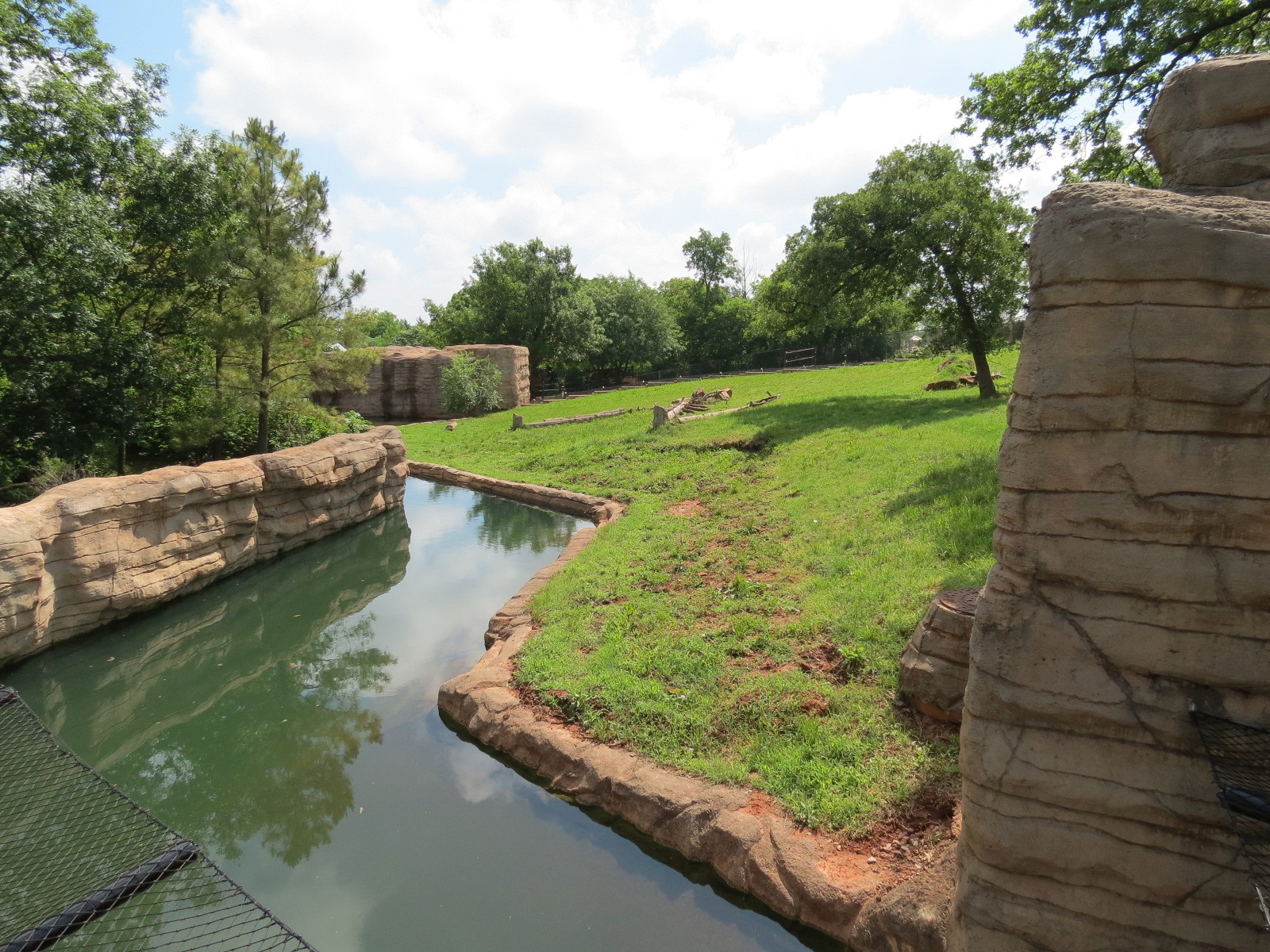 Oklahoma Trails - American Black Bear Exhibit