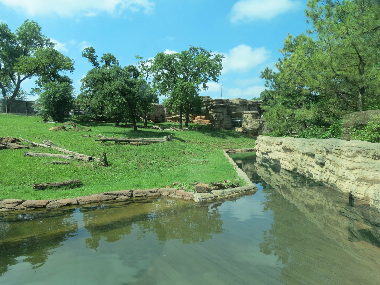 Oklahoma Trails - American Black Bear Exhibit
