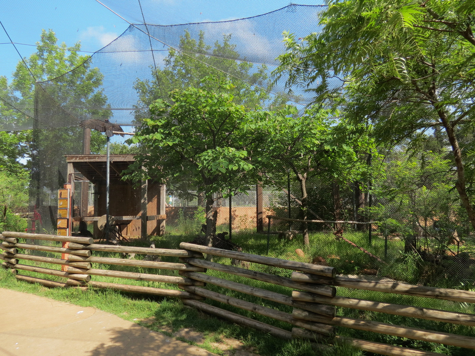 Oklahoma Trails - Aviary Interior and Turkey Vulture Exhibit