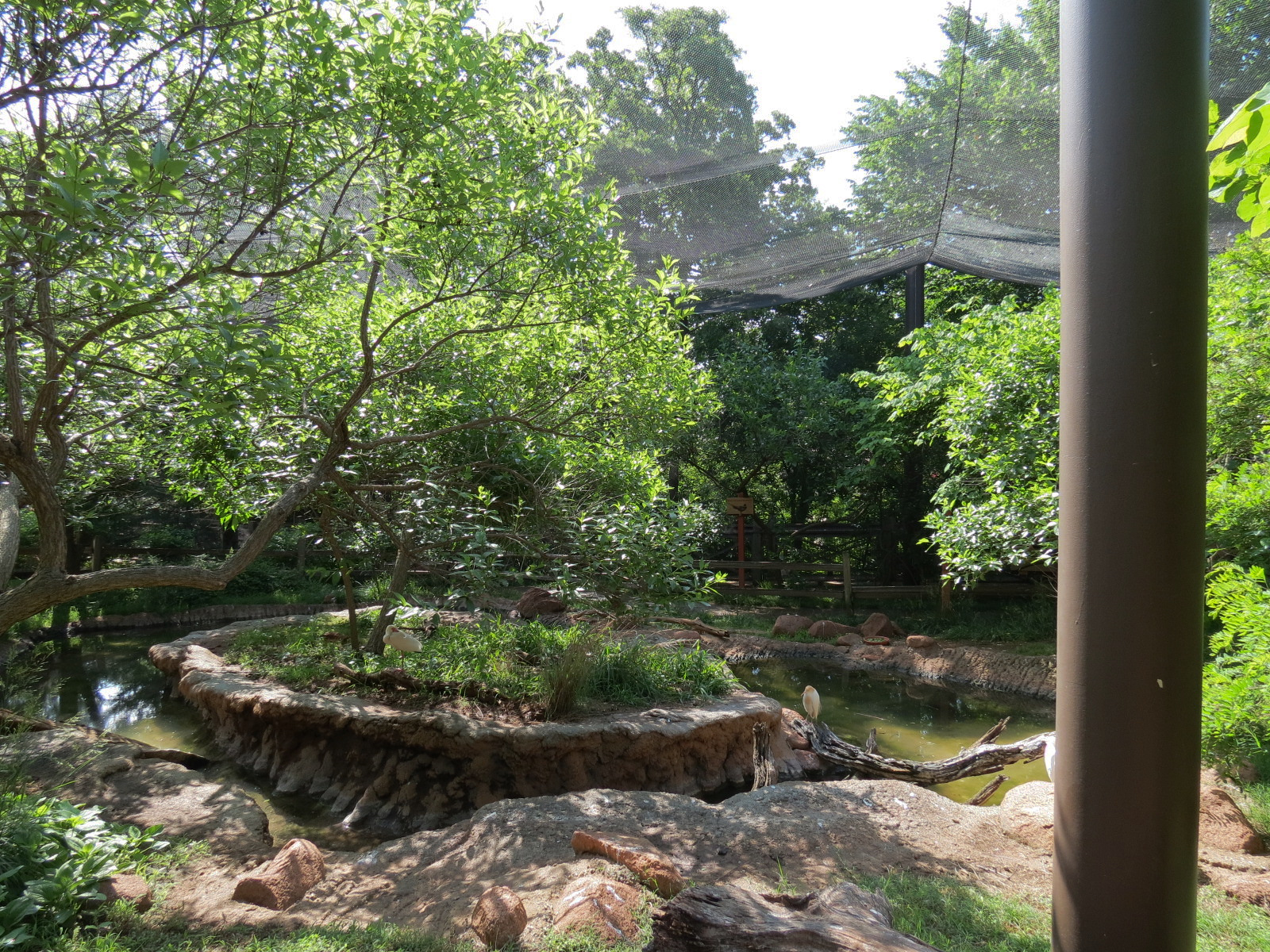 Oklahoma Trails - Aviary Interior