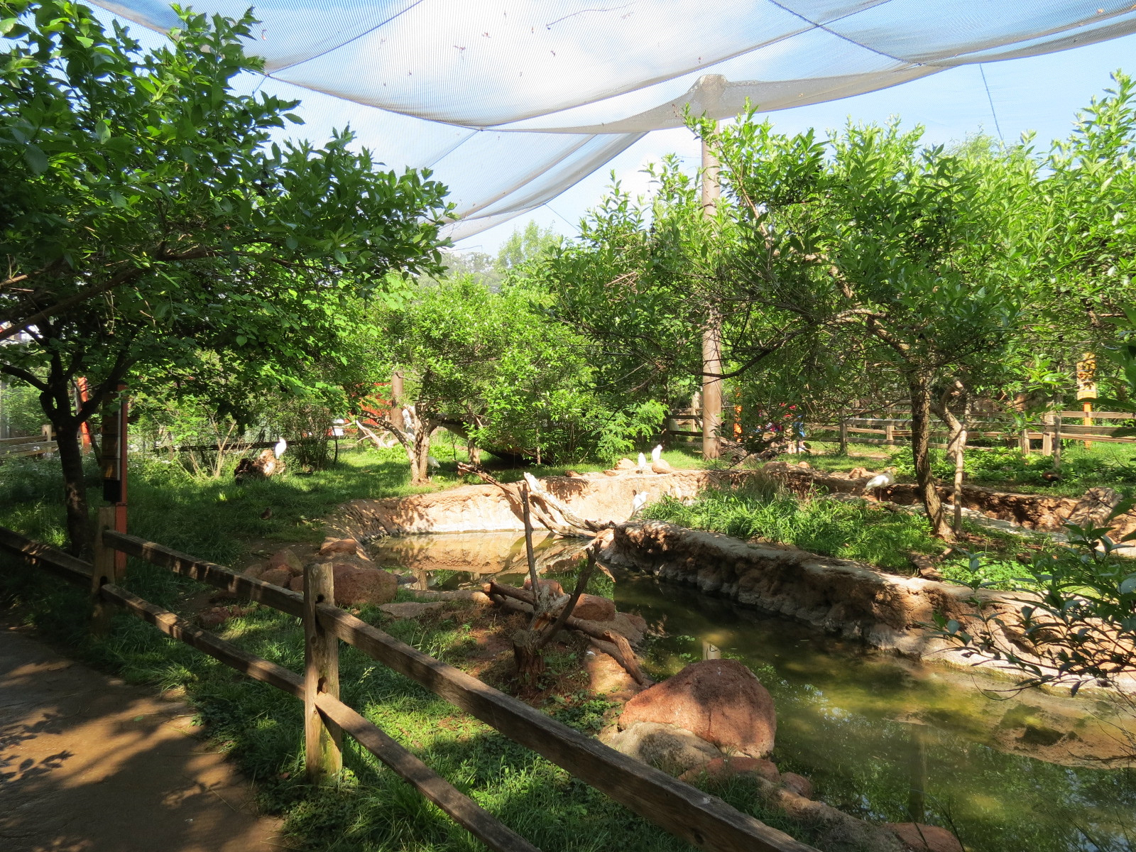 Oklahoma Trails - Aviary Interior