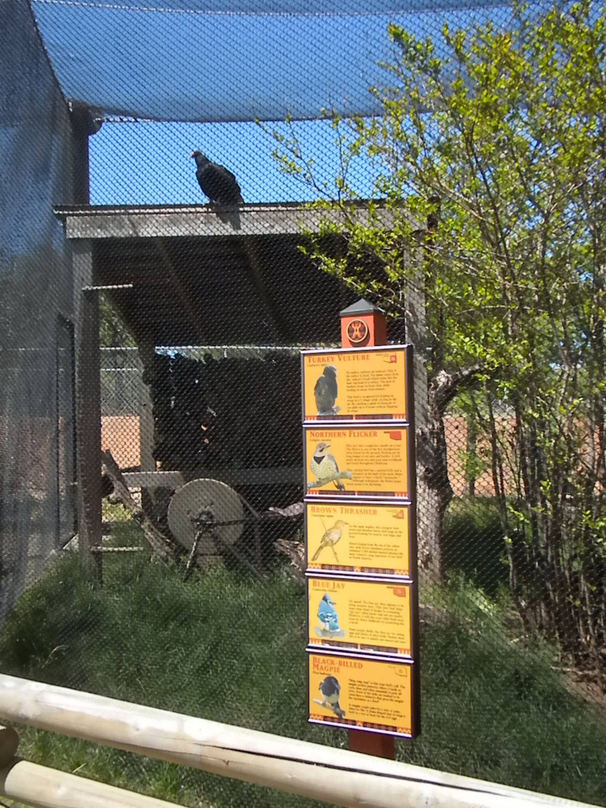 Oklahoma Trails aviary sign and vulture