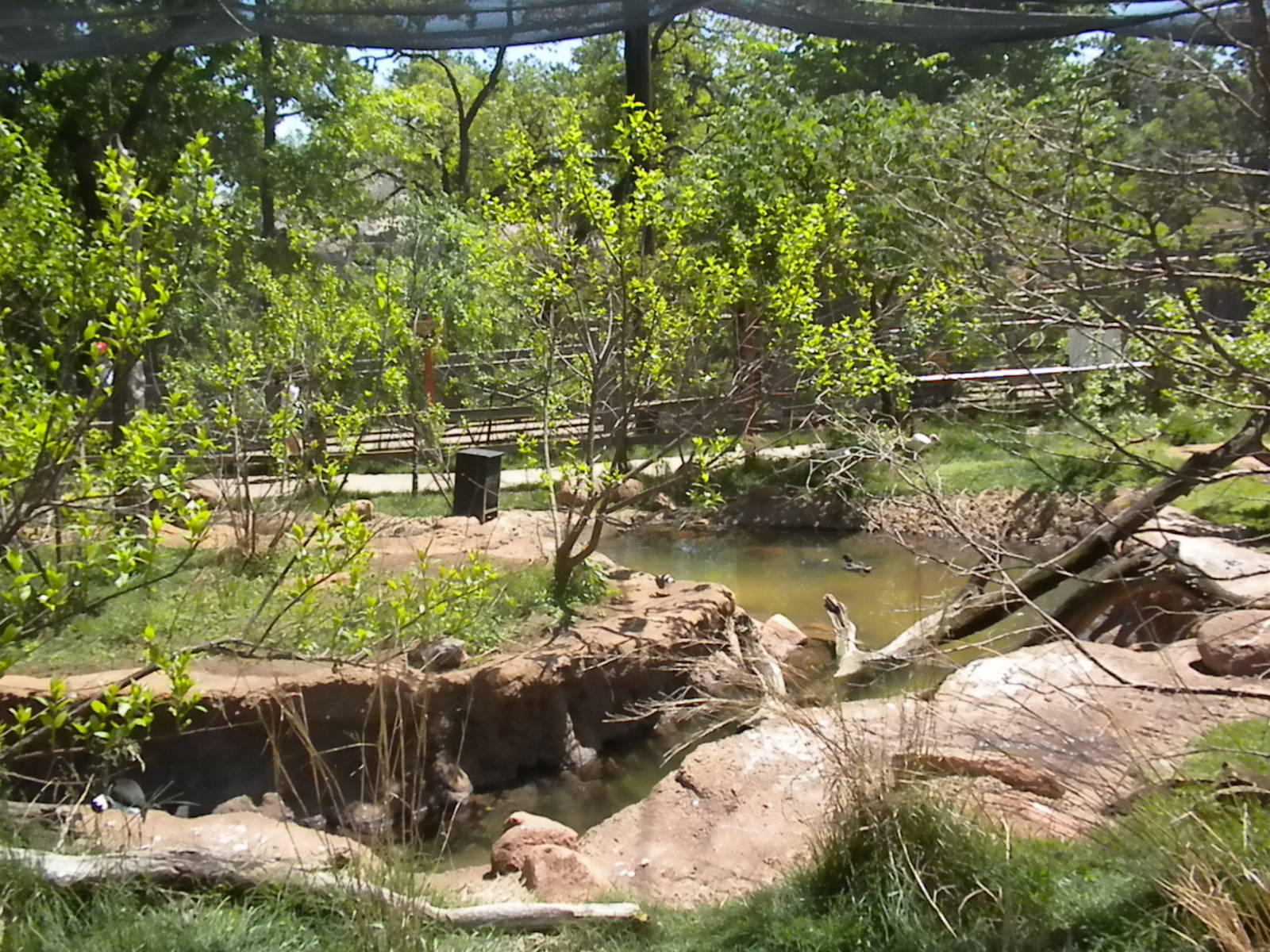 Oklahoma Trails Aviary