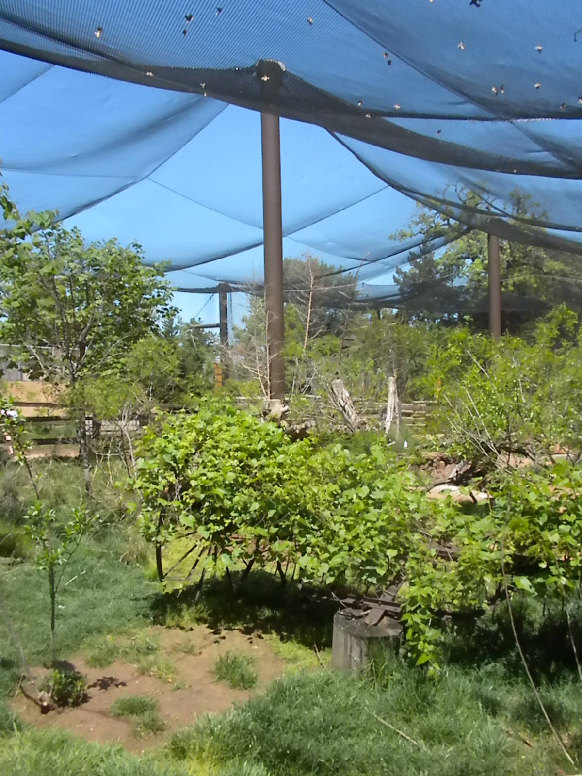 Oklahoma Trails aviary