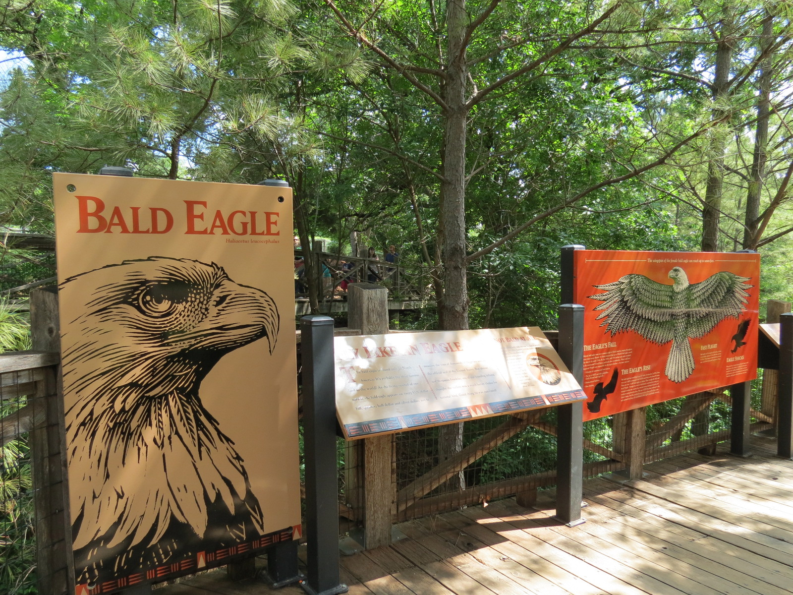 Oklahoma Trails - Bald Eagle Exhibit Sign
