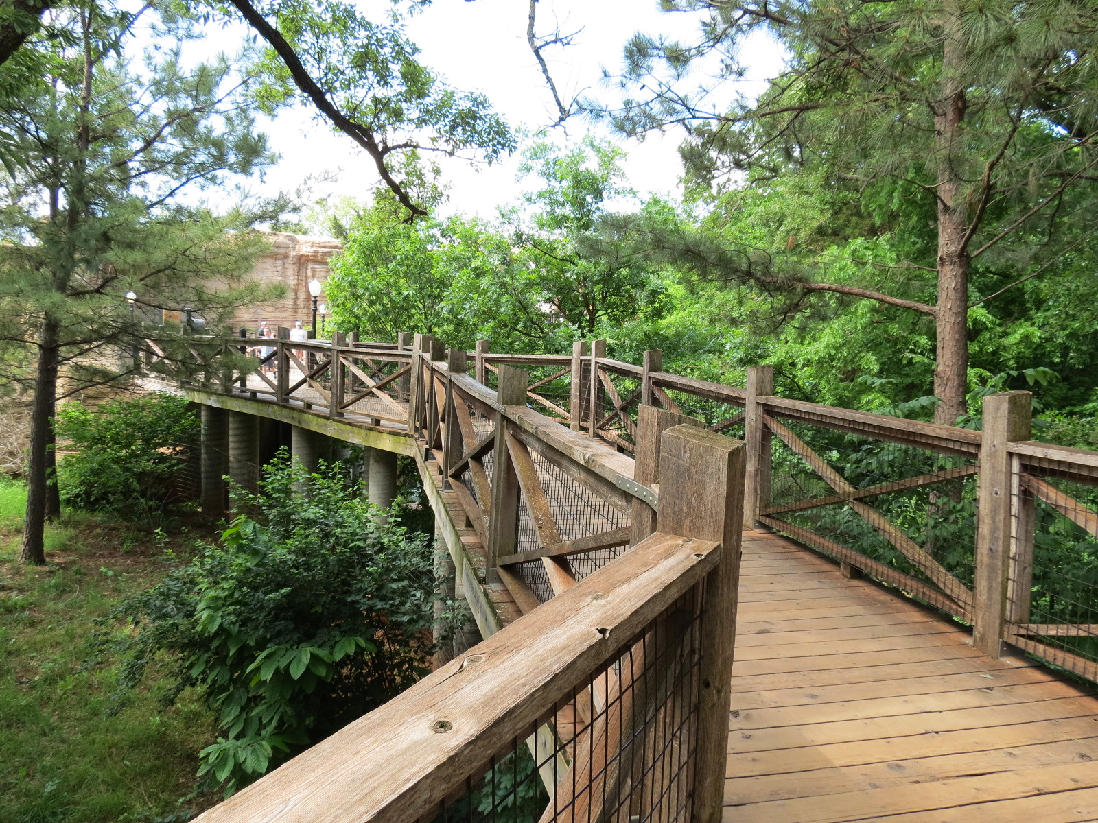 Oklahoma Trails - Bald Eagle Exhibit Viewing Path