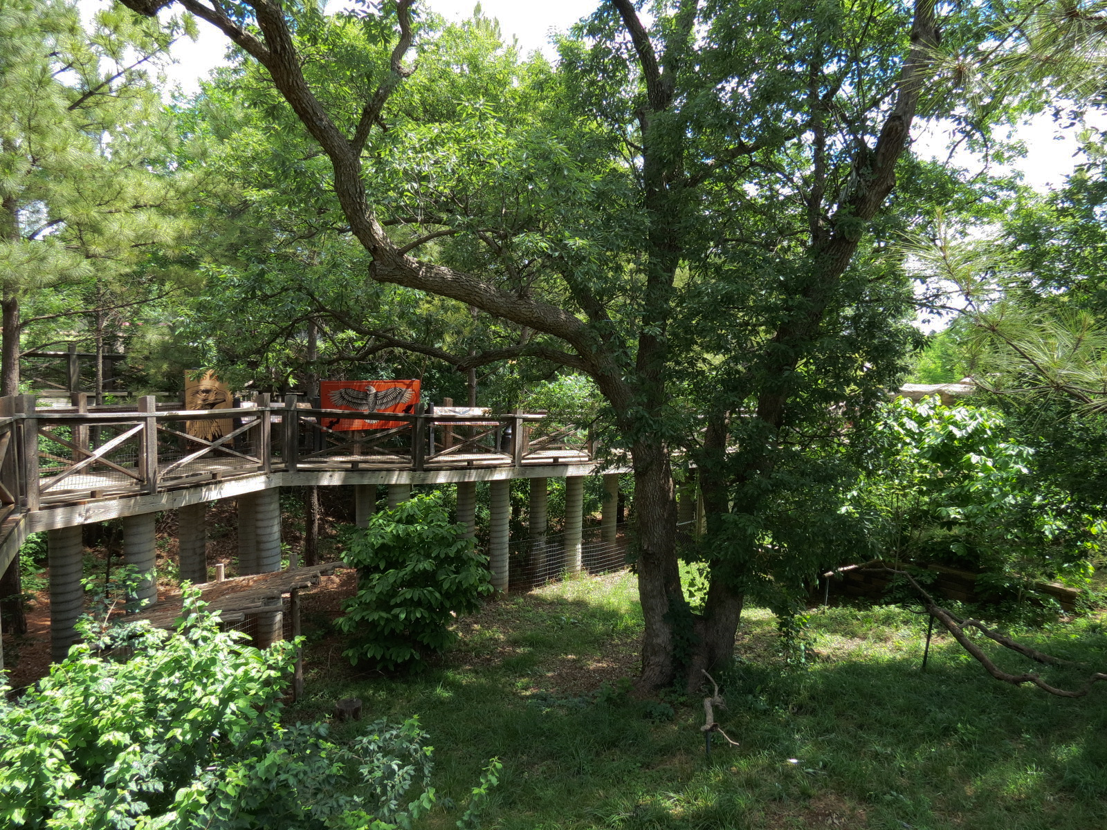 Oklahoma Trails - Bald Eagle Exhibit