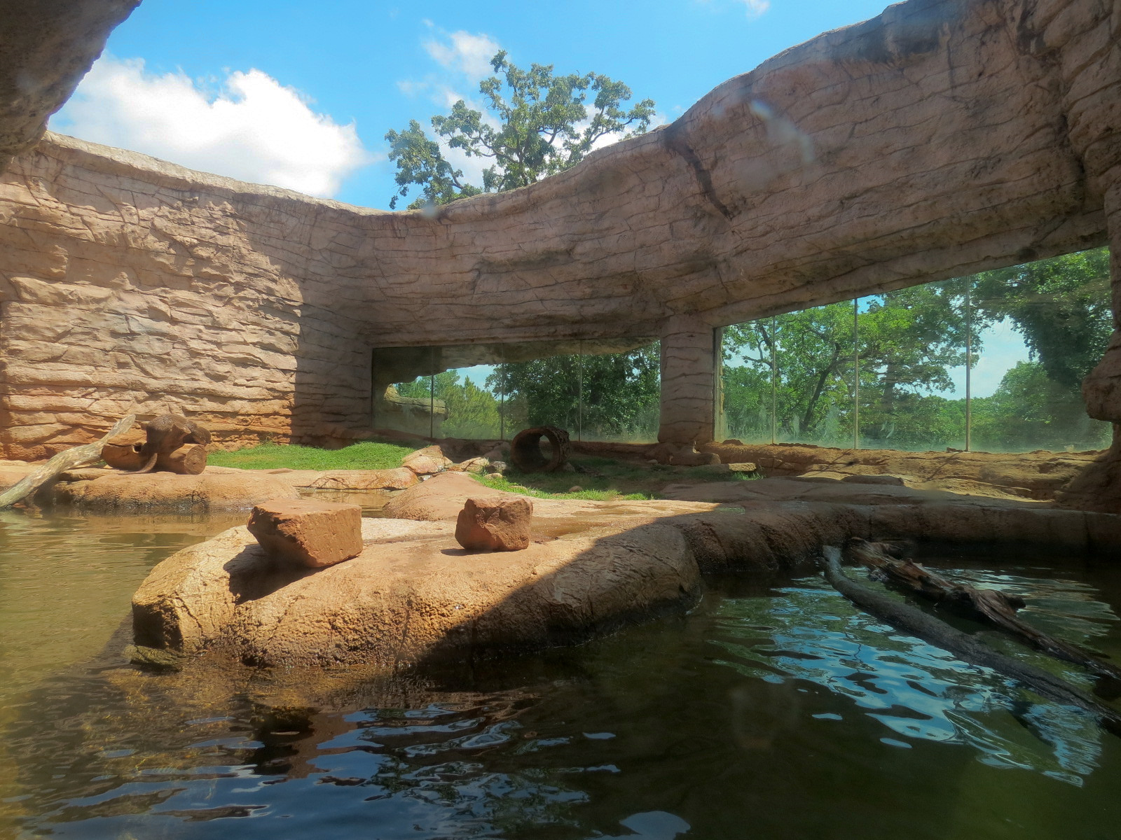 Oklahoma Trails - Big Rivers - American River Otter Exhibit