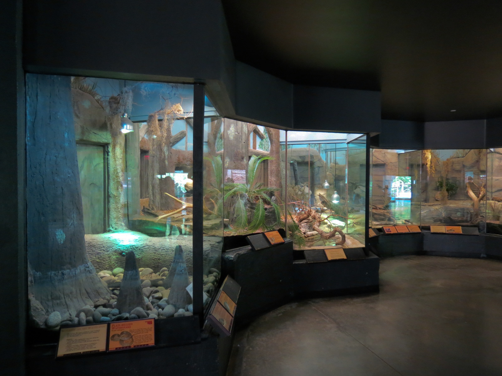 Oklahoma Trails - Big Rivers - Reptile Exhibits
