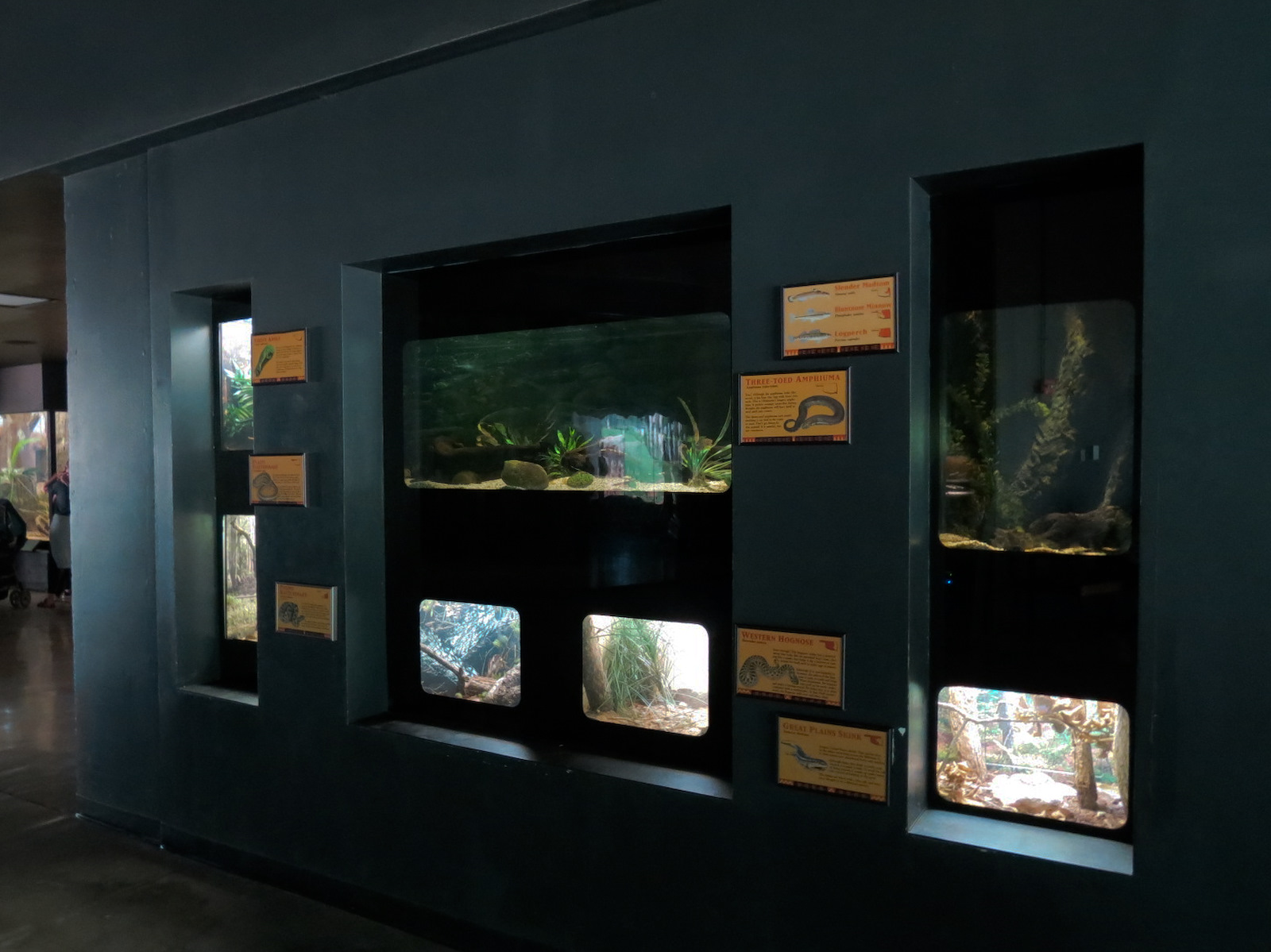 Oklahoma Trails - Big Rivers - Wall Terrariums