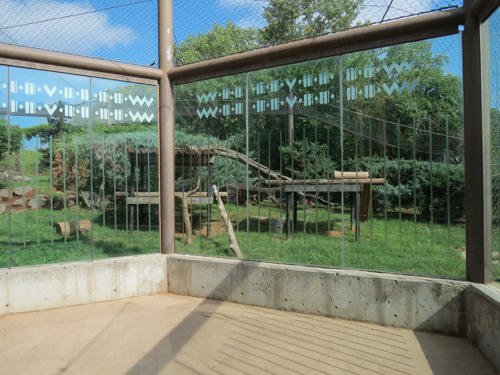 Oklahoma Trails - Cougar Exhibit Viewing Area