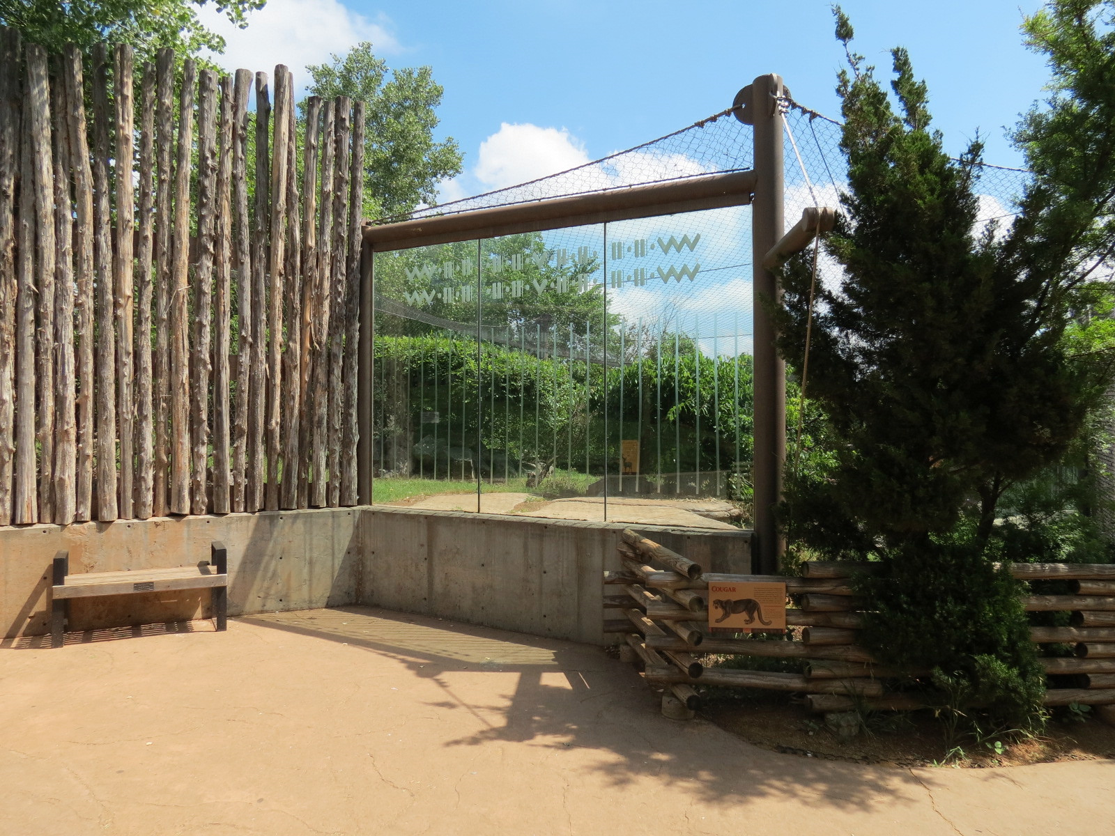 Oklahoma Trails - Cougar Exhibit Viewing Area
