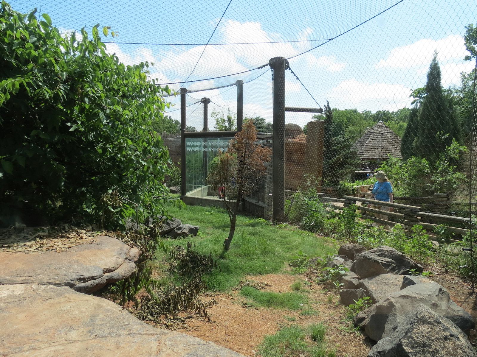 Oklahoma Trails - Cougar Exhibit