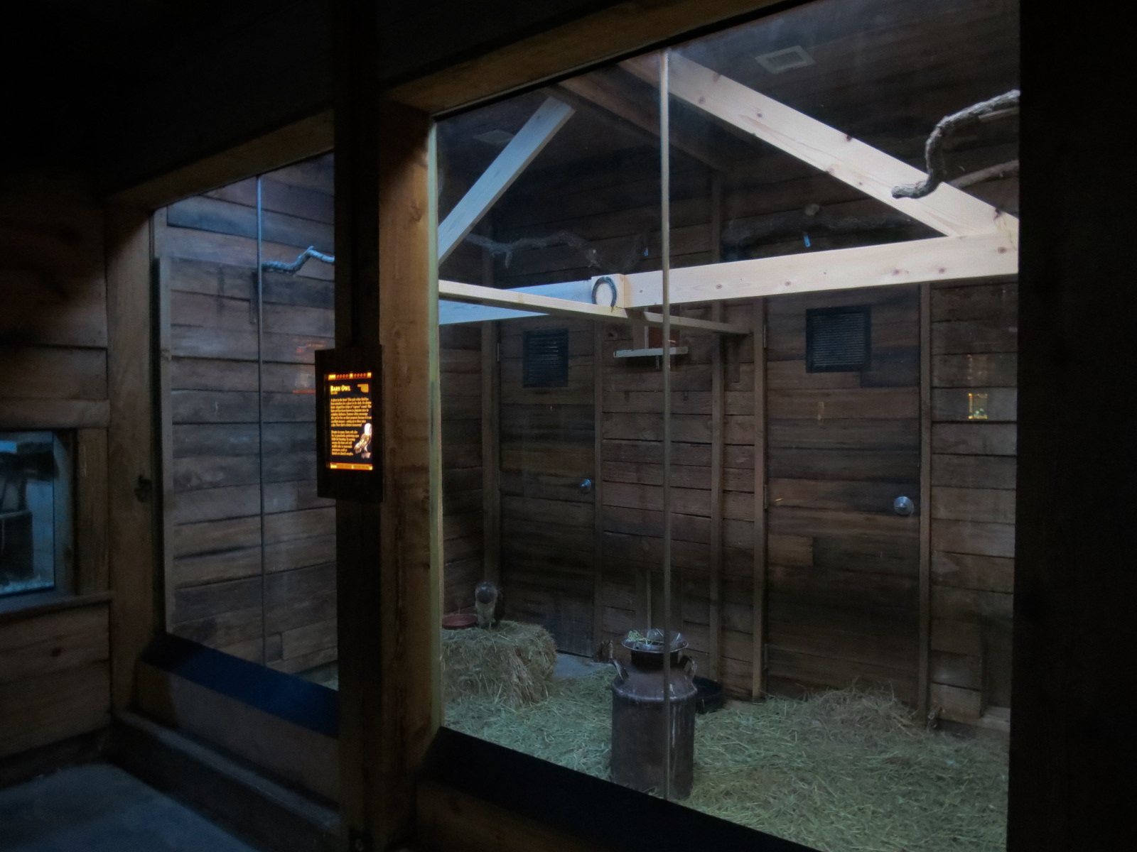 Oklahoma Trails - Creatures of the Night  - Barn Owl Exhibit