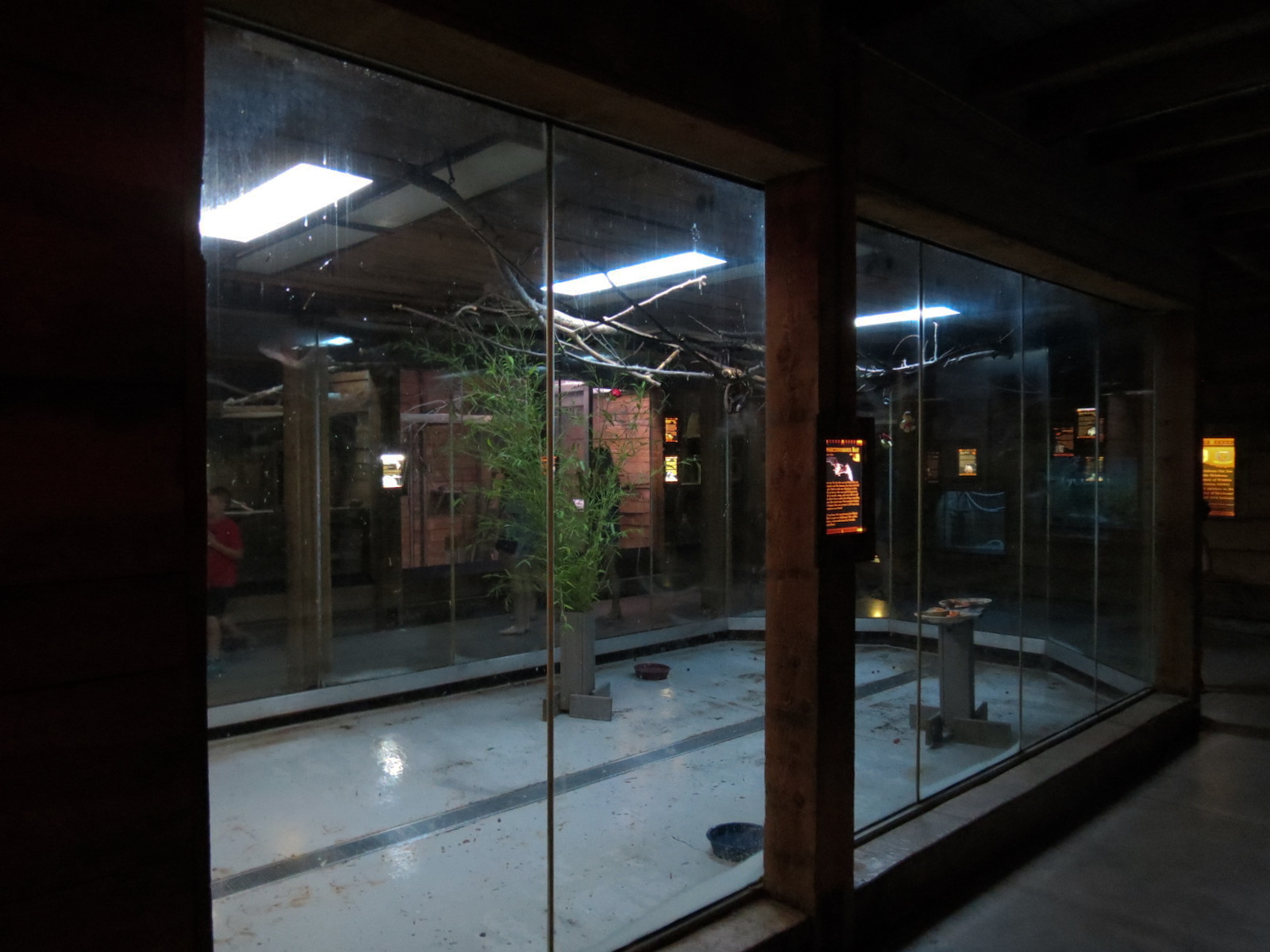 Oklahoma Trails - Creatures of the Night  - Insectivorous Bat Exhibit