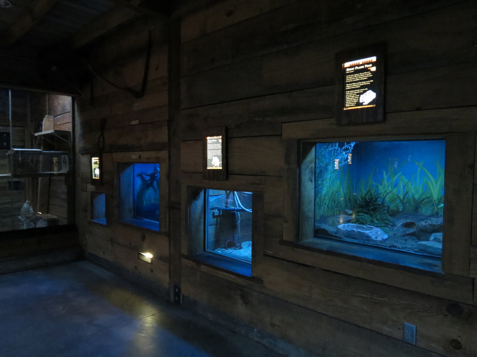 Oklahoma Trails - Creatures of the Night - Multiple Exhibits