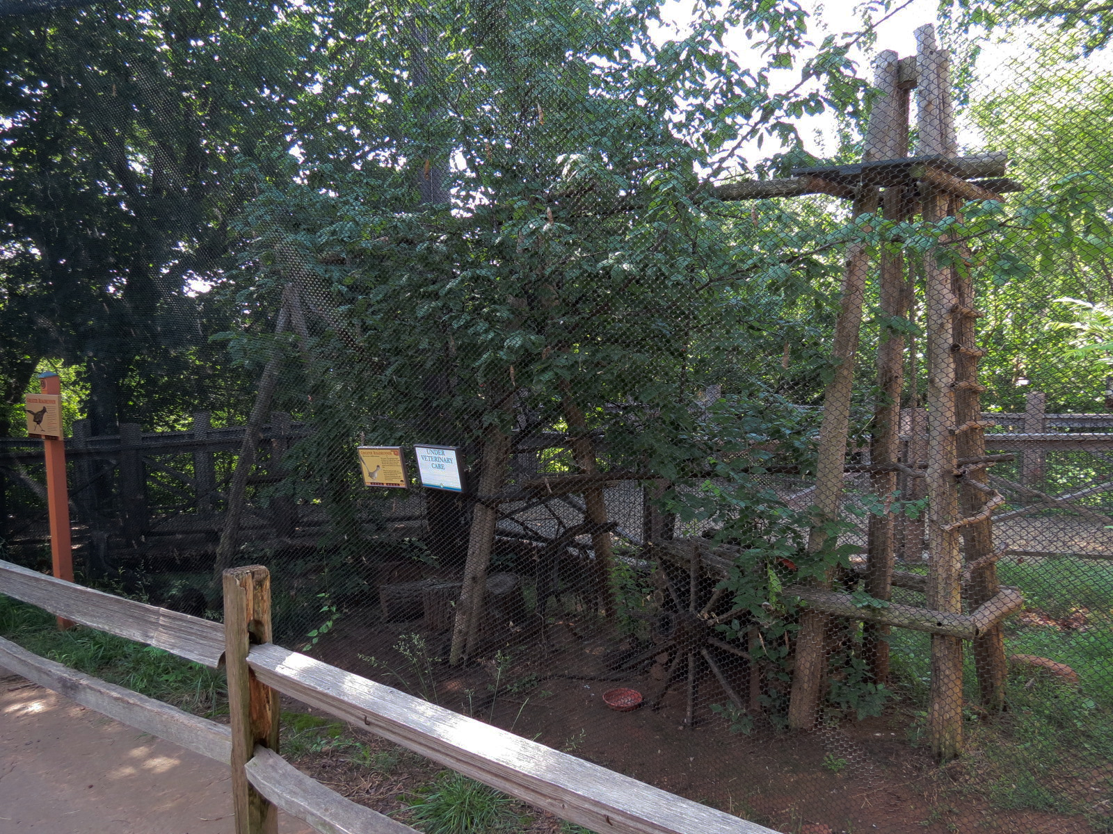 Oklahoma Trails - Greater Roadrunner Exhibit