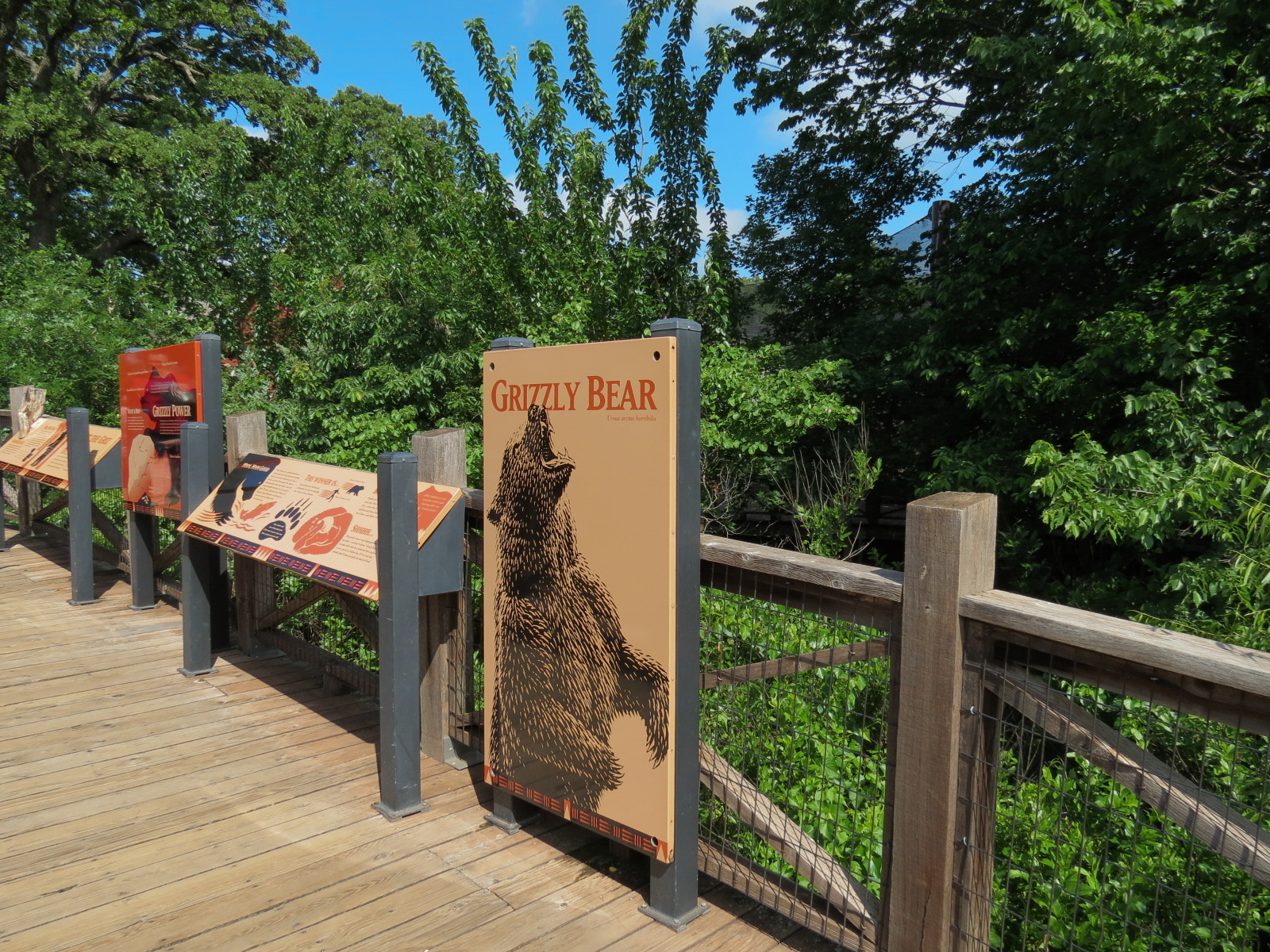 Oklahoma Trails - Grizzly Bear Exhibit Sign
