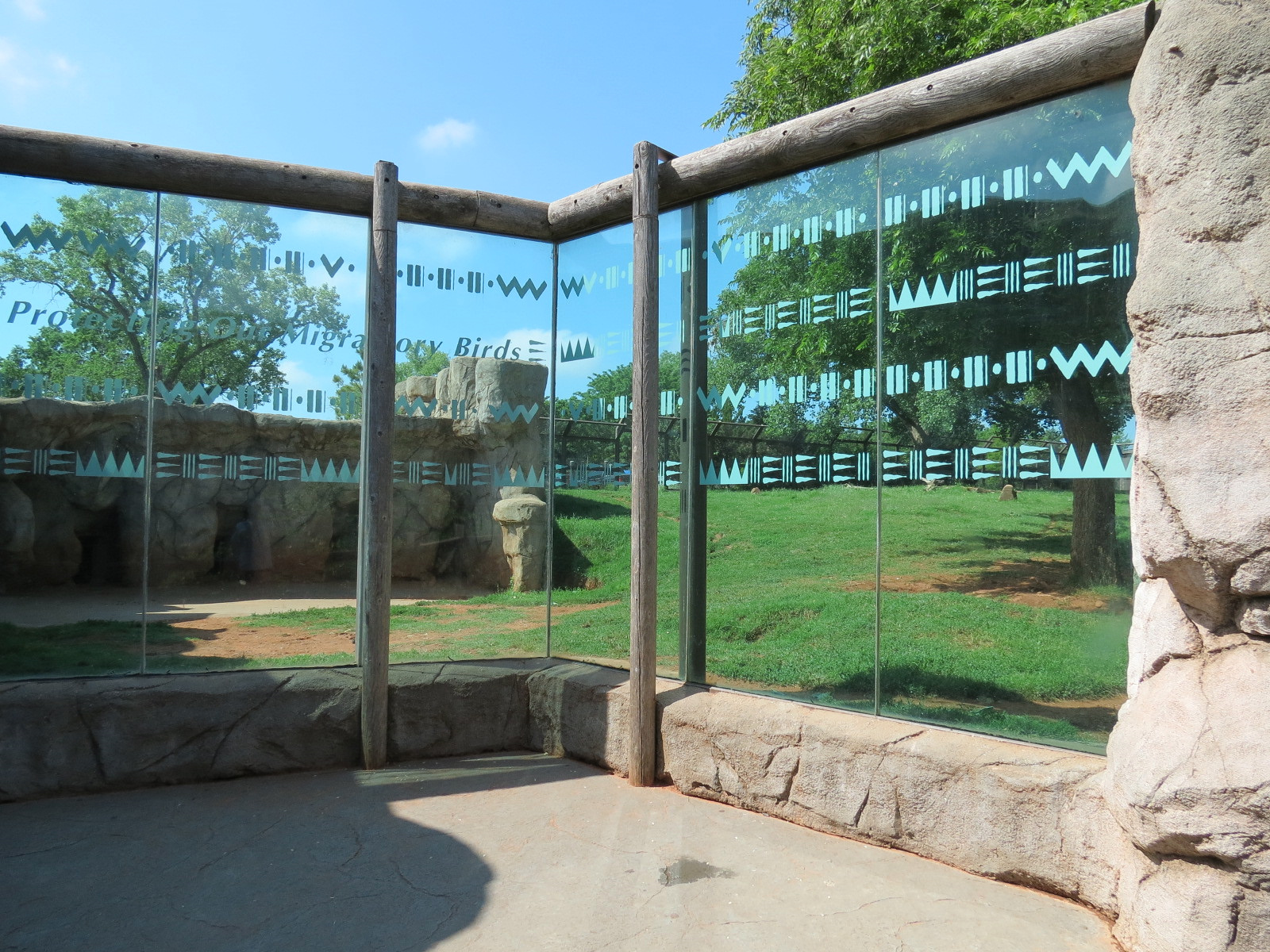 Oklahoma Trails - Grizzly Bear Exhibit Viewing Area
