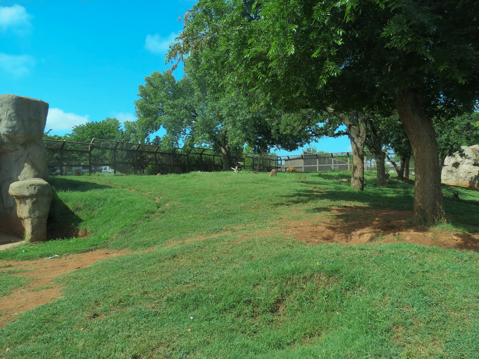 Oklahoma Trails - Grizzly Bear Exhibit Viewing