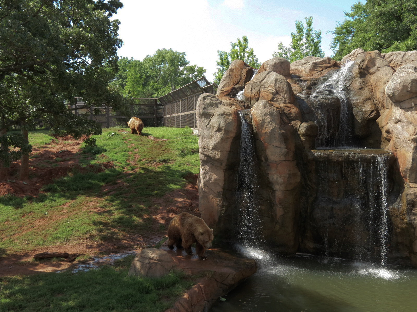 Oklahoma Trails - Grizzly Bear Exhibit