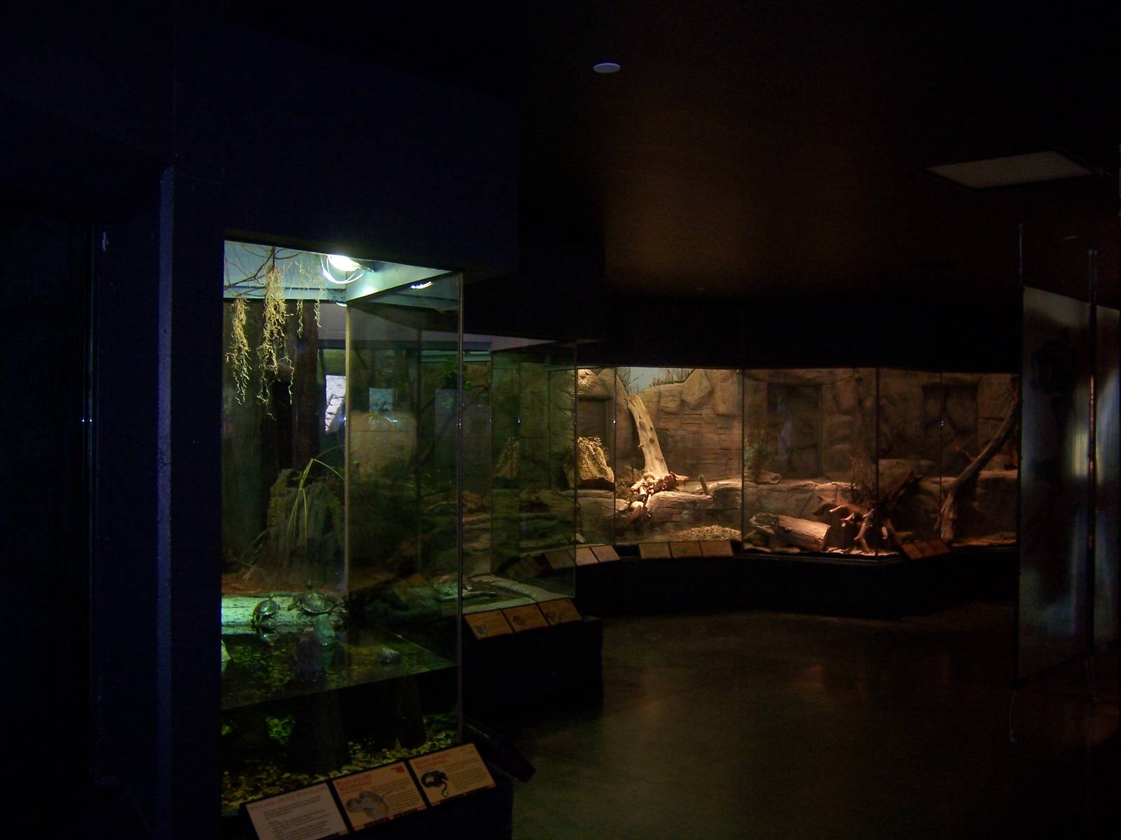 Oklahoma Trails - Rivers and Swamps