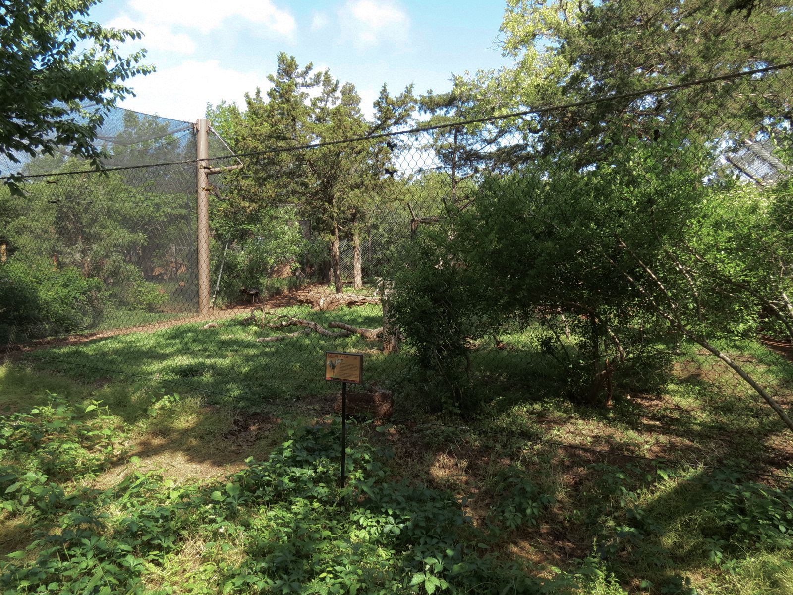 Oklahoma Trails - Sandhill Crane Exhibit
