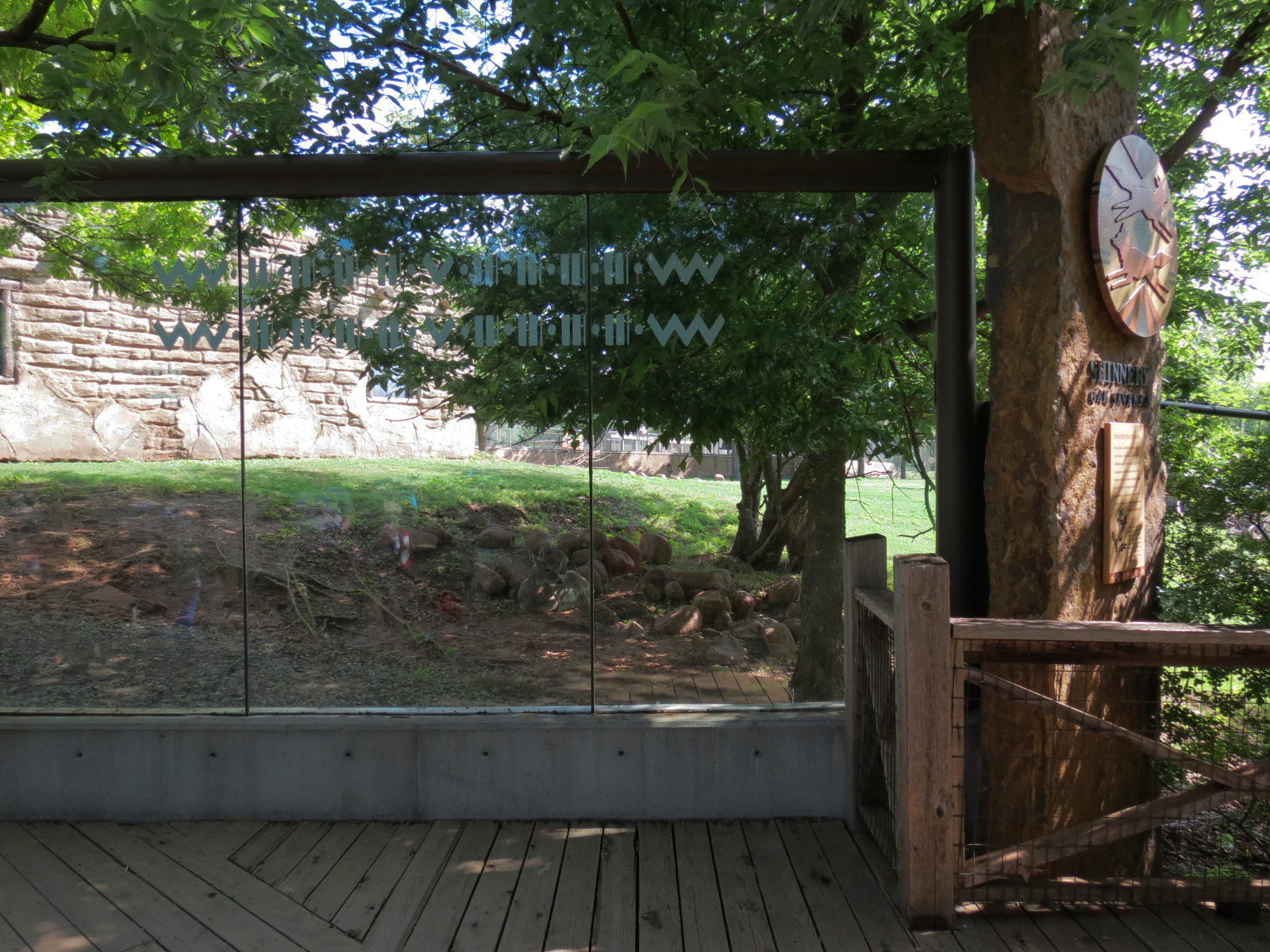 Oklahoma Trails - White-tailed Deer and Trumpeter Swan Exhibit Viewing Area