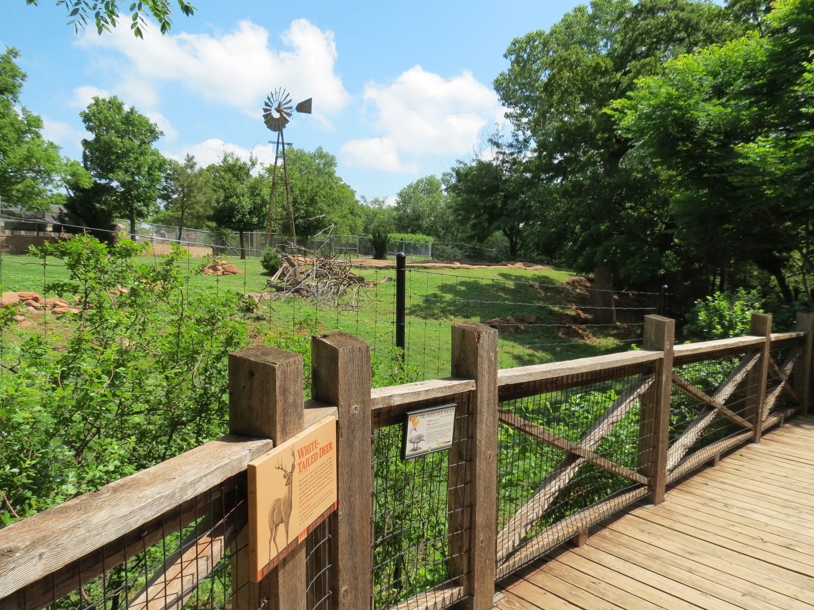 Oklahoma Trails - White-tailed Deer and Trumpeter Swan Exhibit Viewing Path